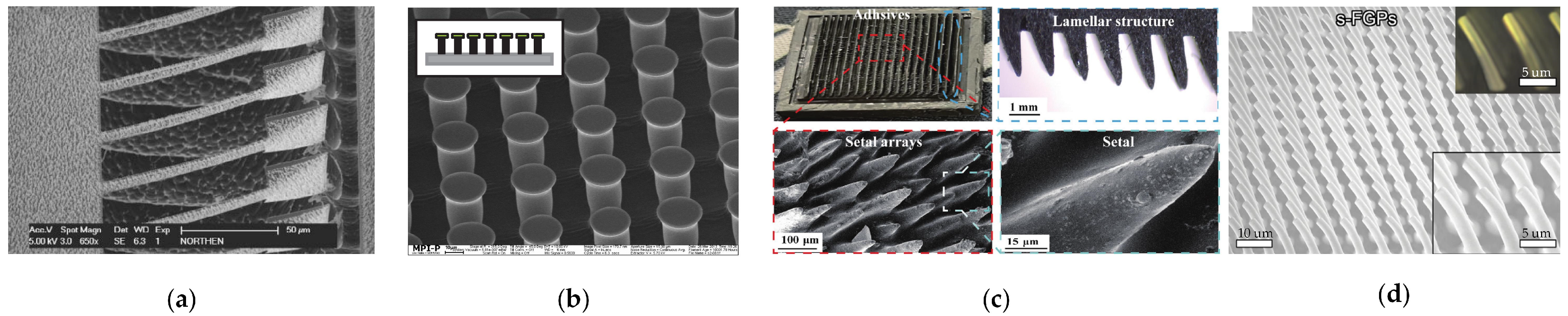 Biomimetics 09 00149 g013 Biomimetics 09 00149 g013