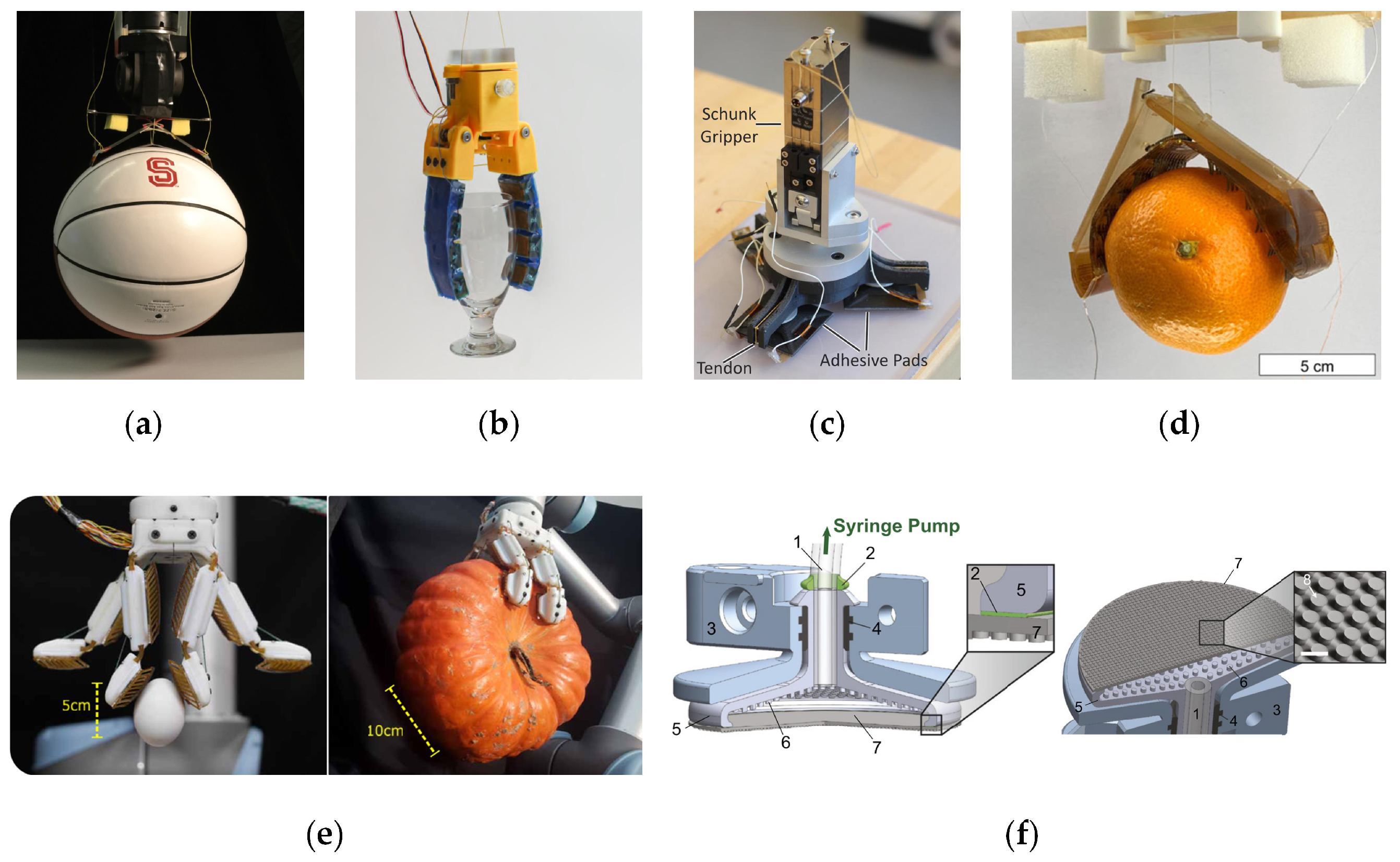 Biomimetics 09 00149 g018 Biomimetics 09 00149 g018