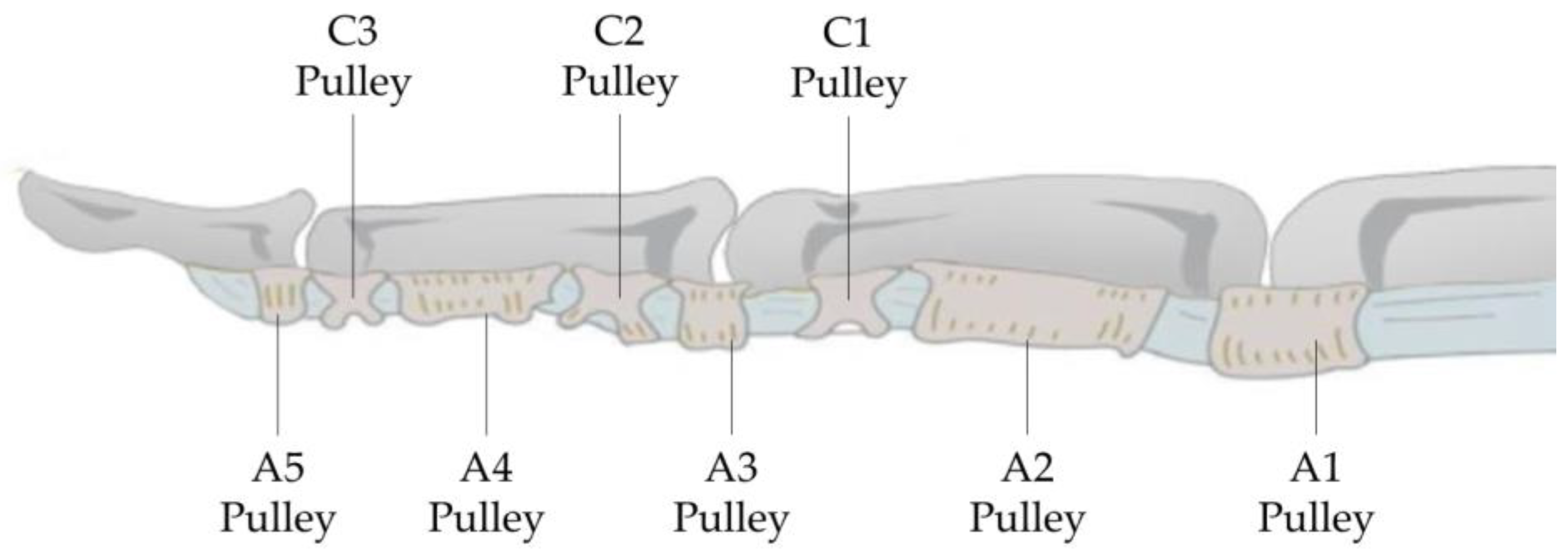Biomimetics 09 00151 g004
