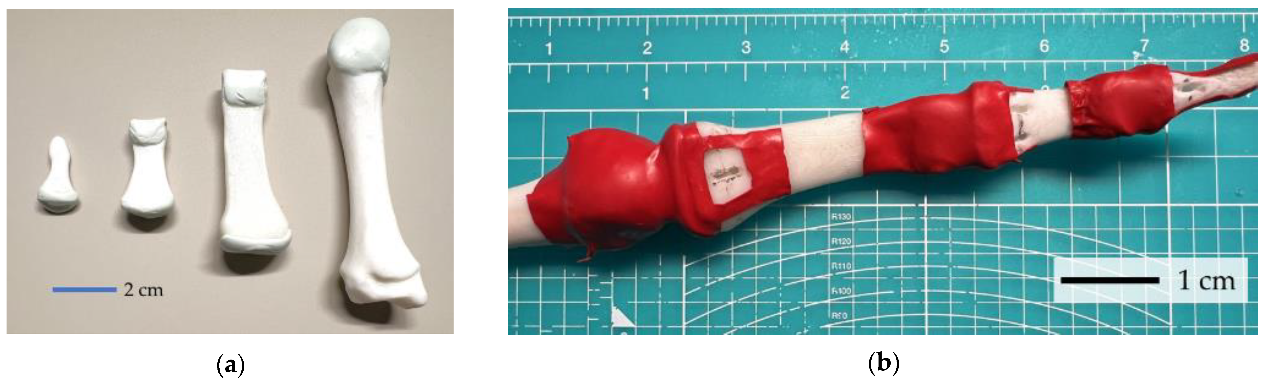 Biomimetics 09 00151 g005