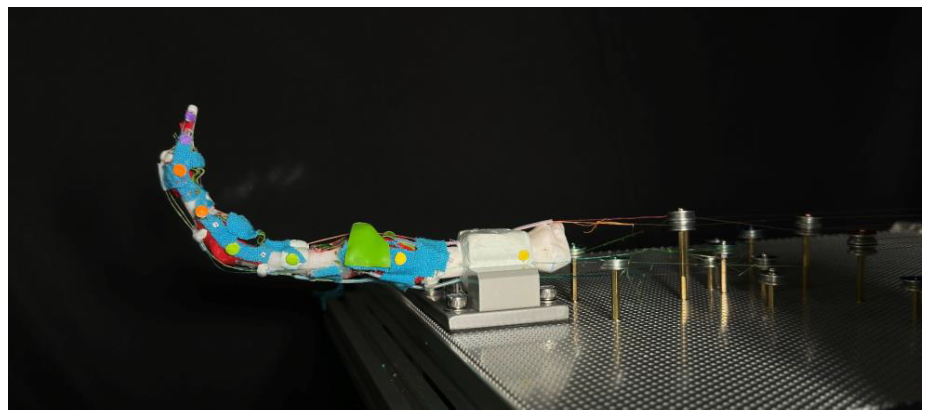 Biomimetics 09 00151 g008