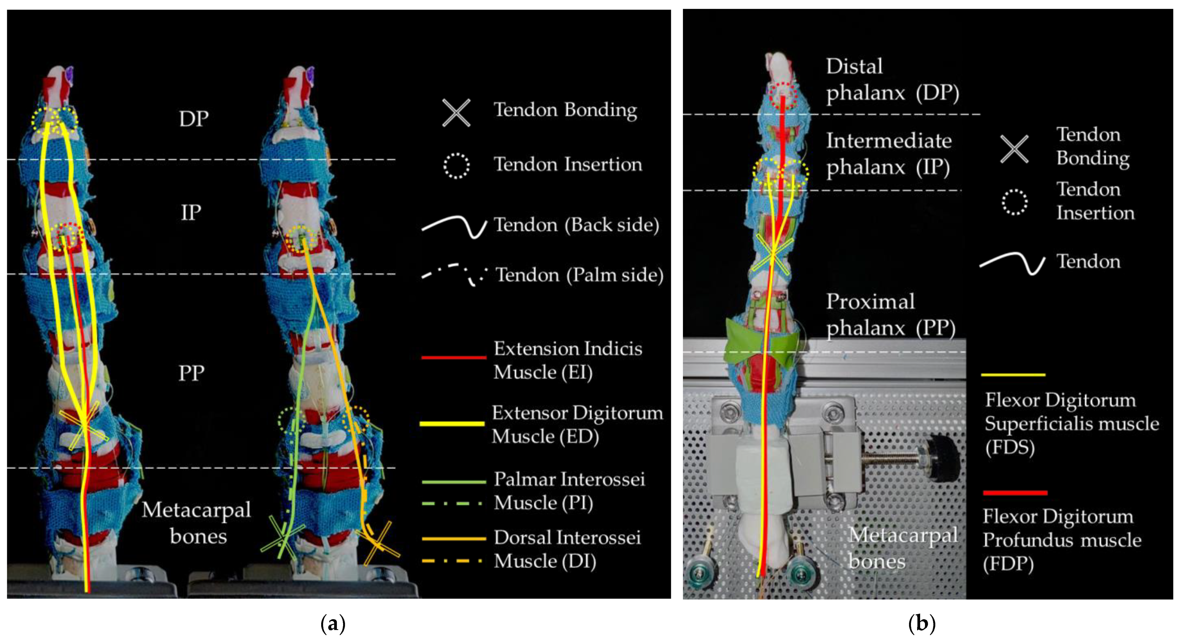 Biomimetics 09 00151 g009
