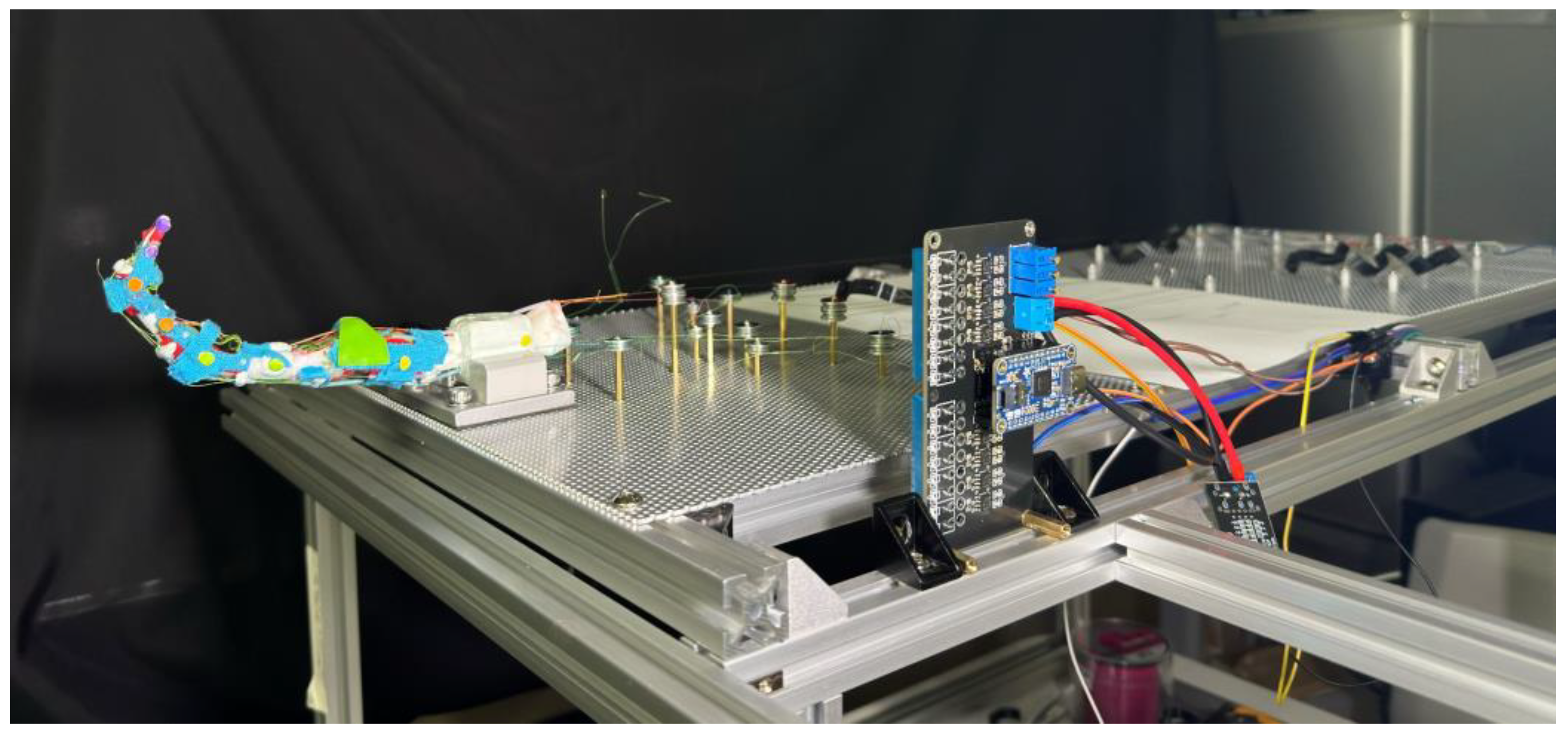 Biomimetics 09 00151 g012