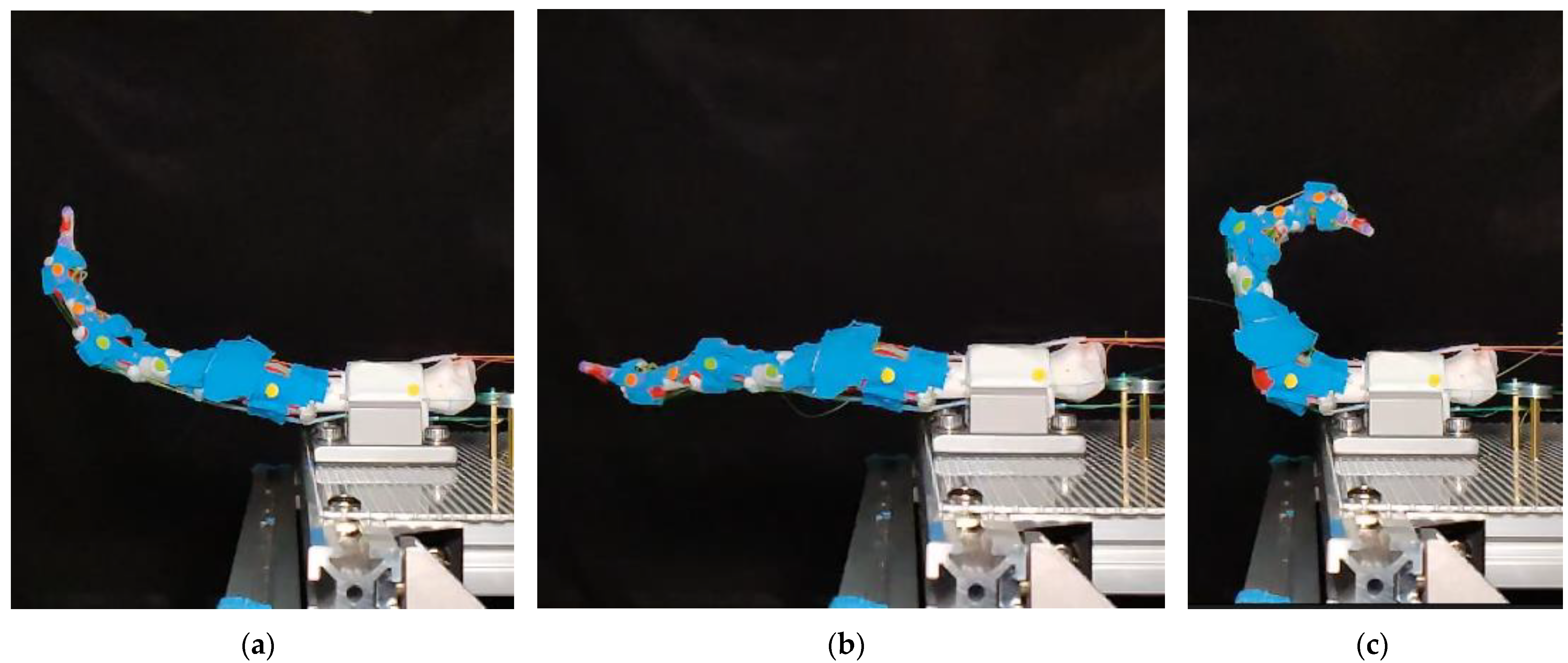 Biomimetics 09 00151 g014