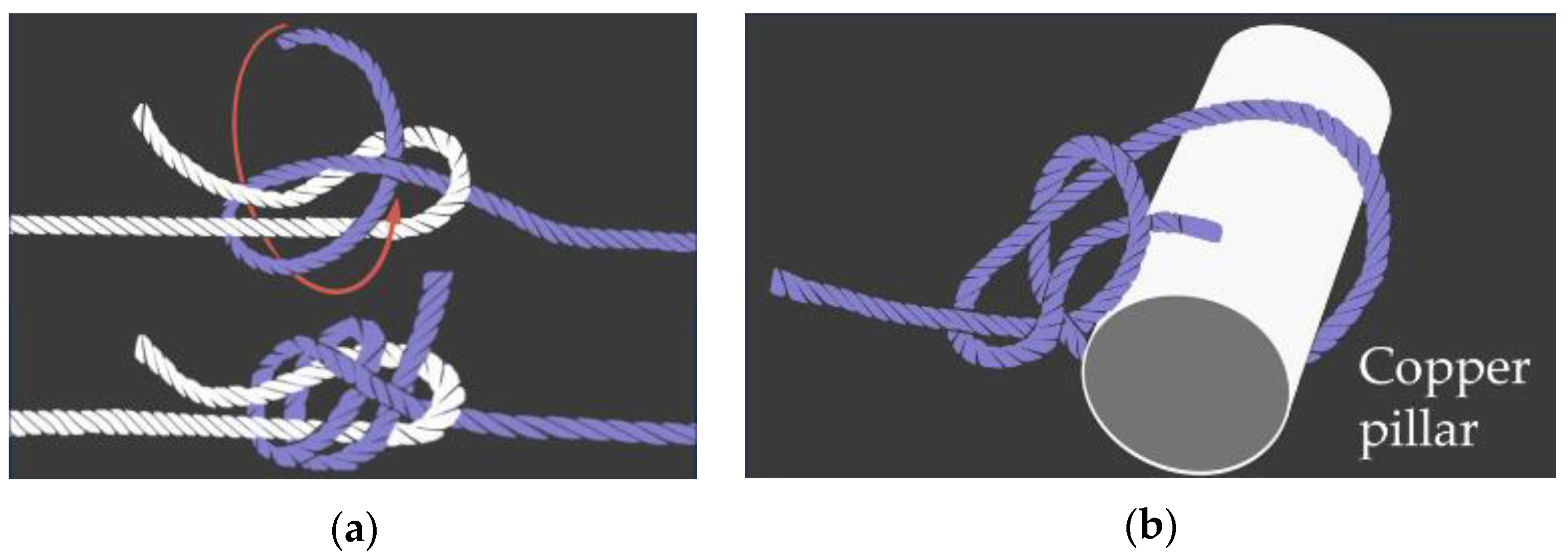 Biomimetics 09 00151 g0a1