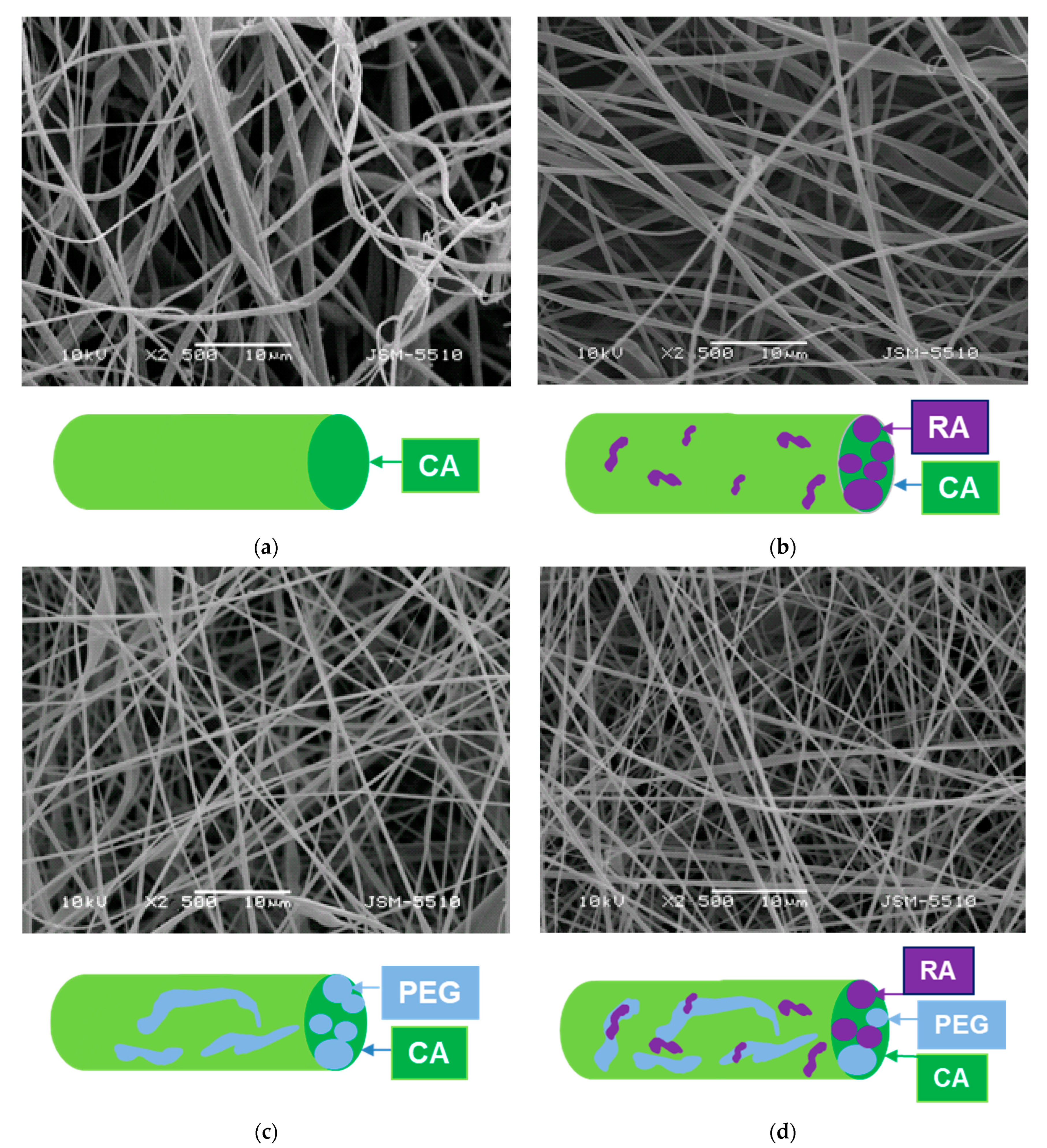 Biomimetics 09 00152 g001