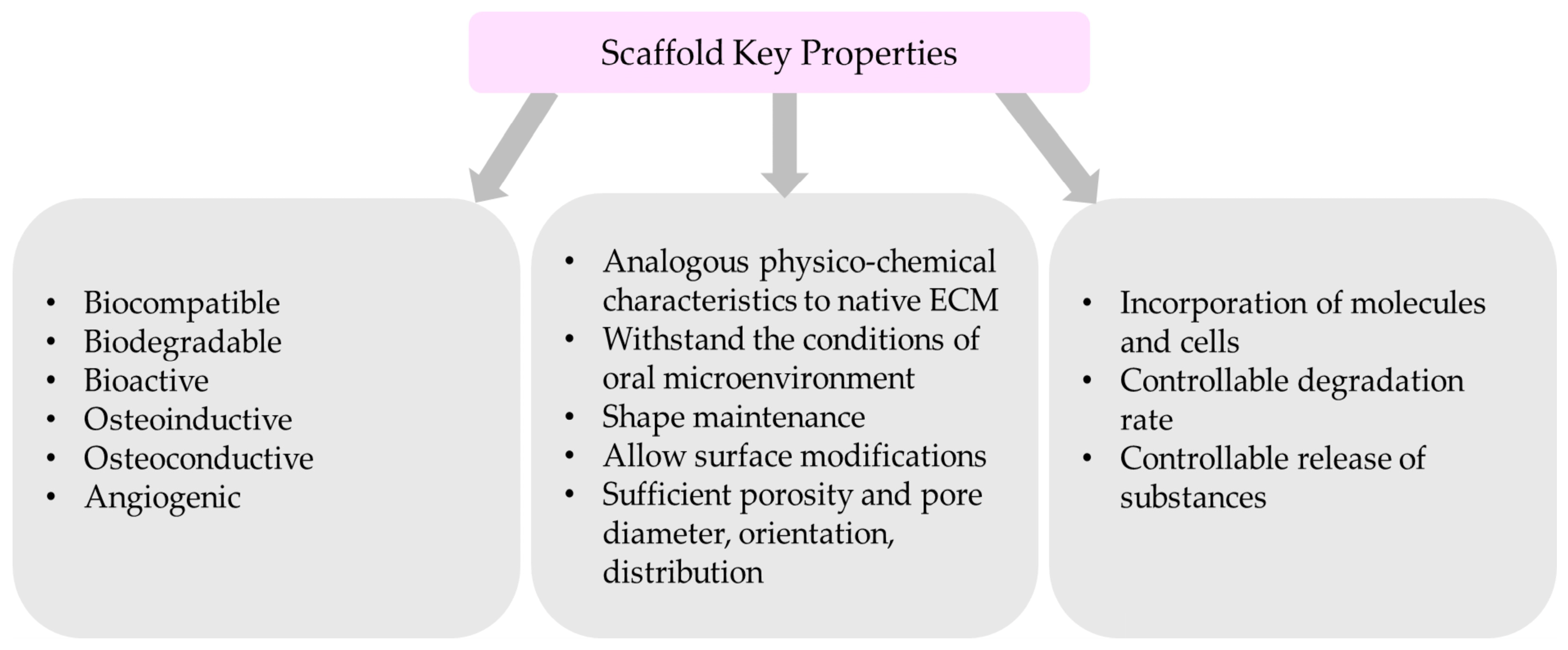 Biomimetics 09 00153 g001 Biomimetics 09 00153 g001