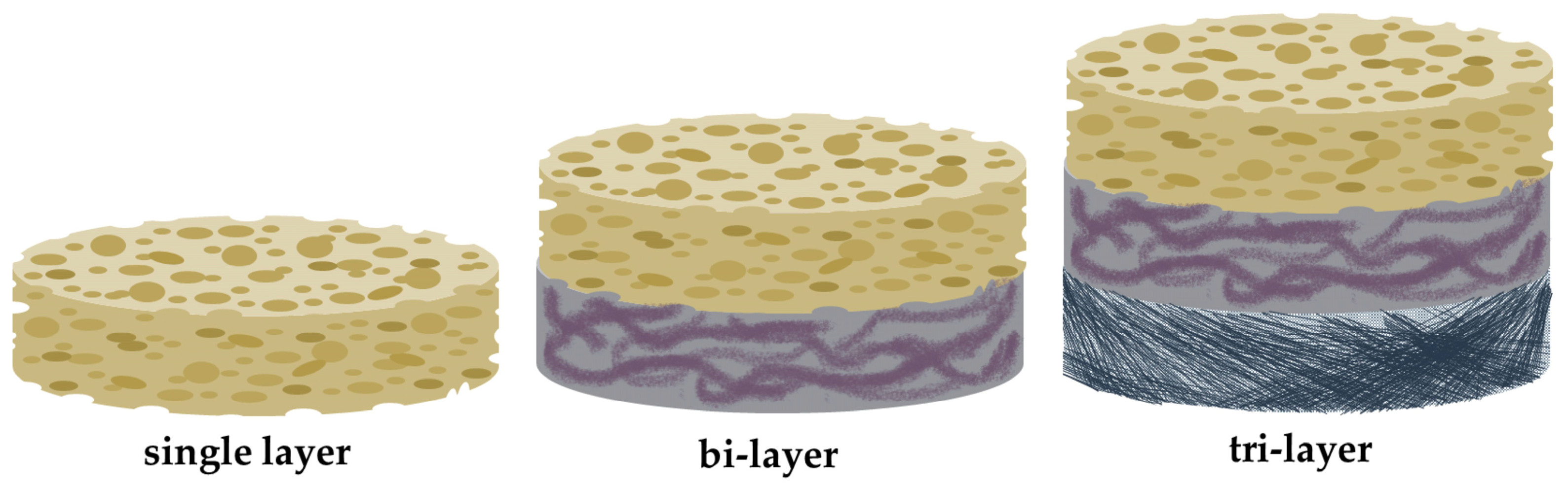 Biomimetics 09 00153 g004 Biomimetics 09 00153 g004