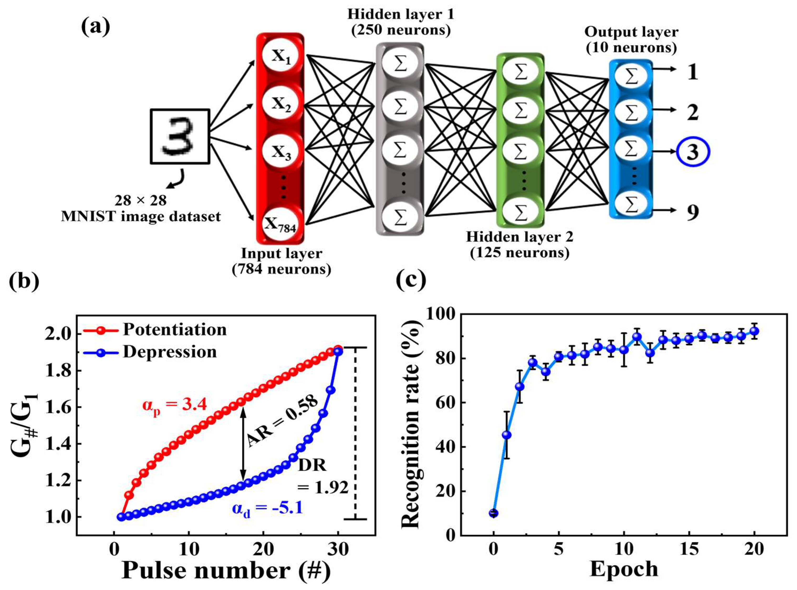 Biomimetics 09 00157 g008