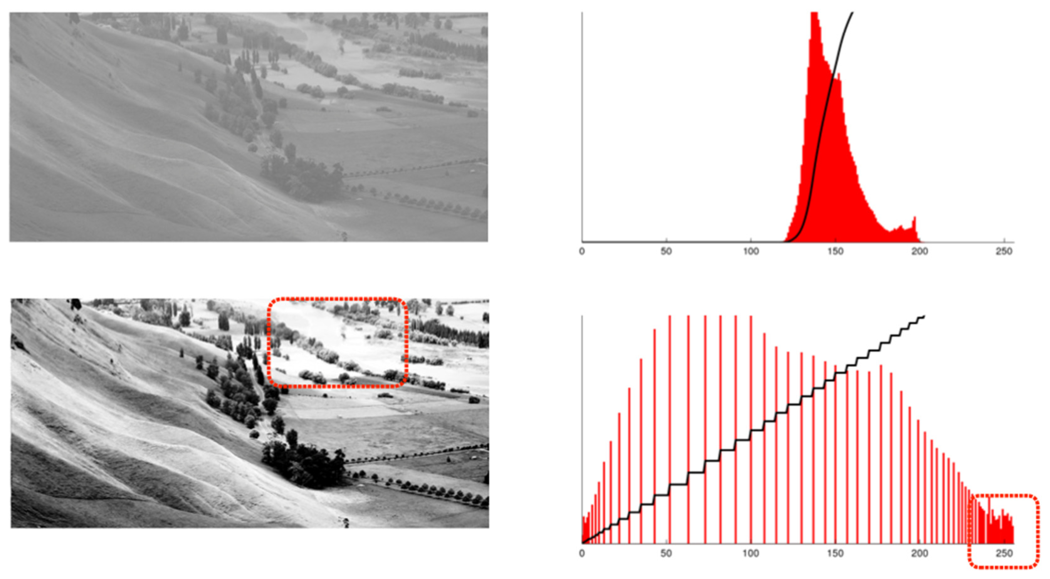 Biomimetics 09 00158 g007