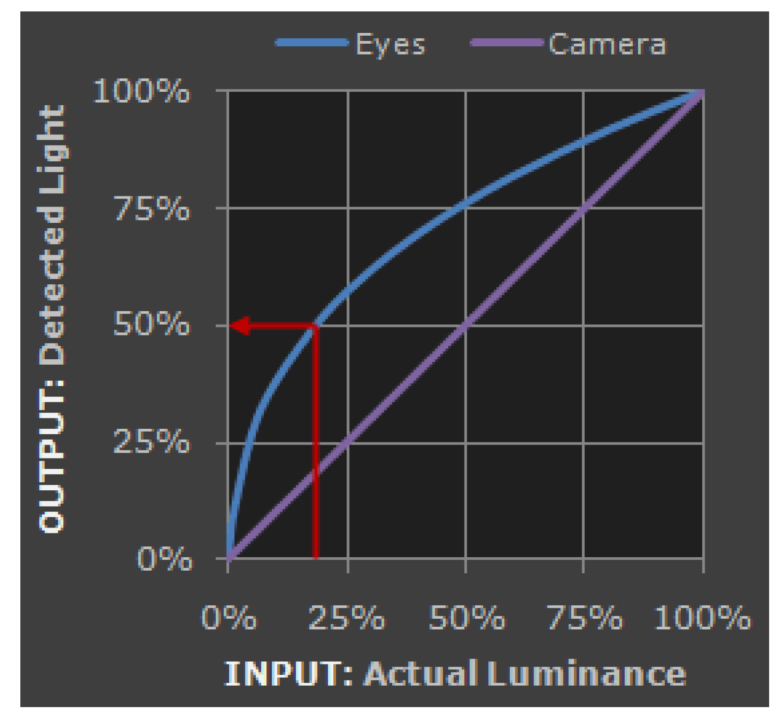 Biomimetics 09 00158 g008