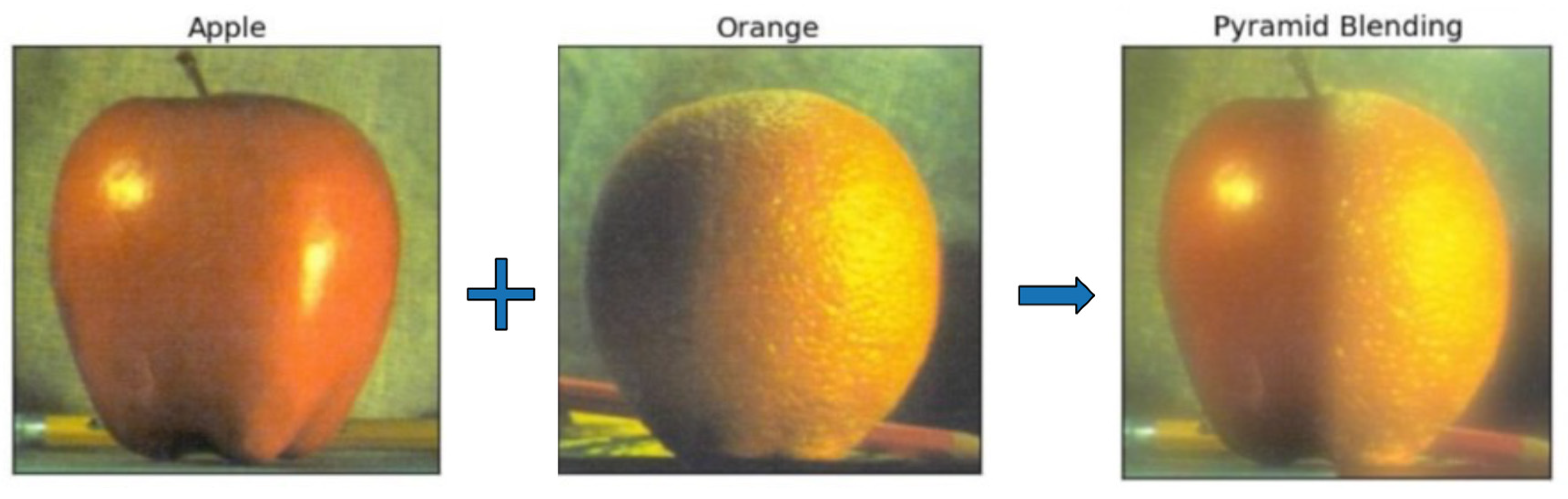 Biomimetics 09 00158 g011