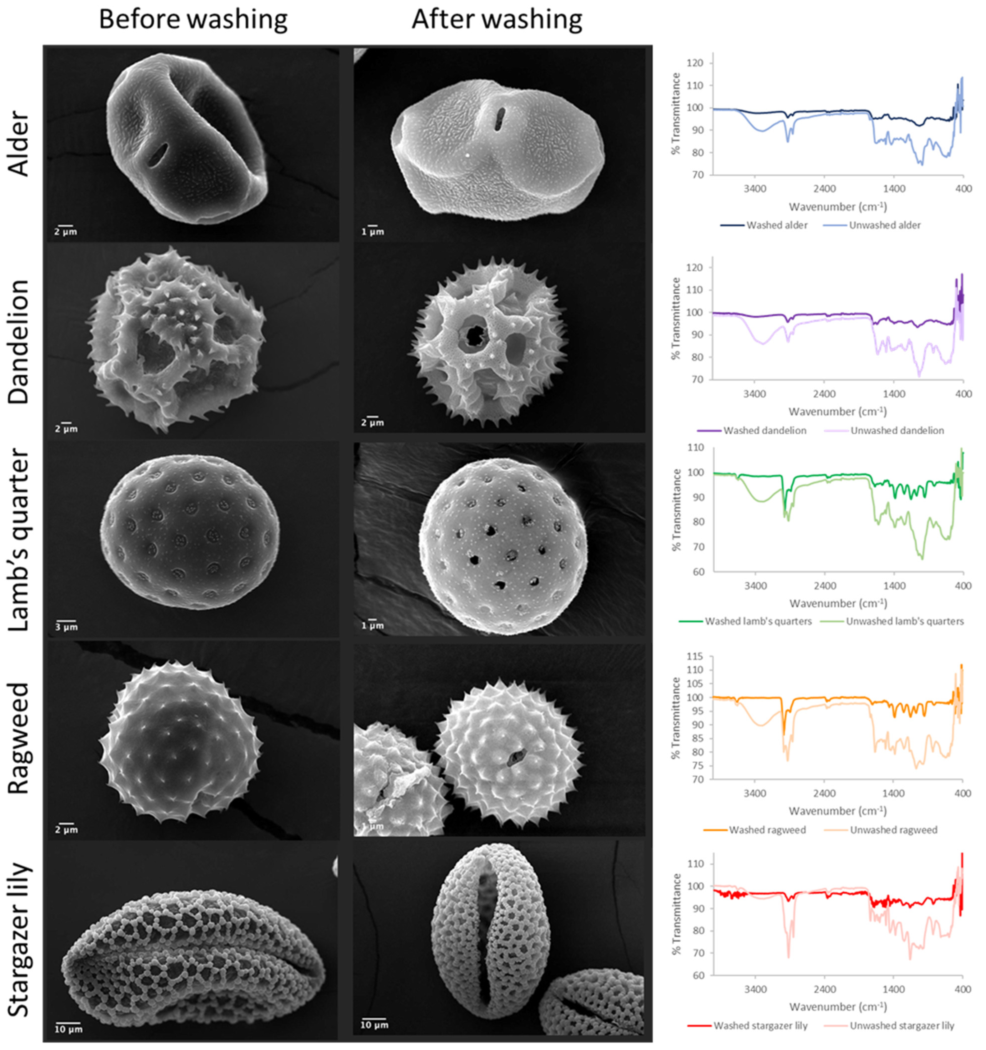 Biomimetics 09 00159 g001