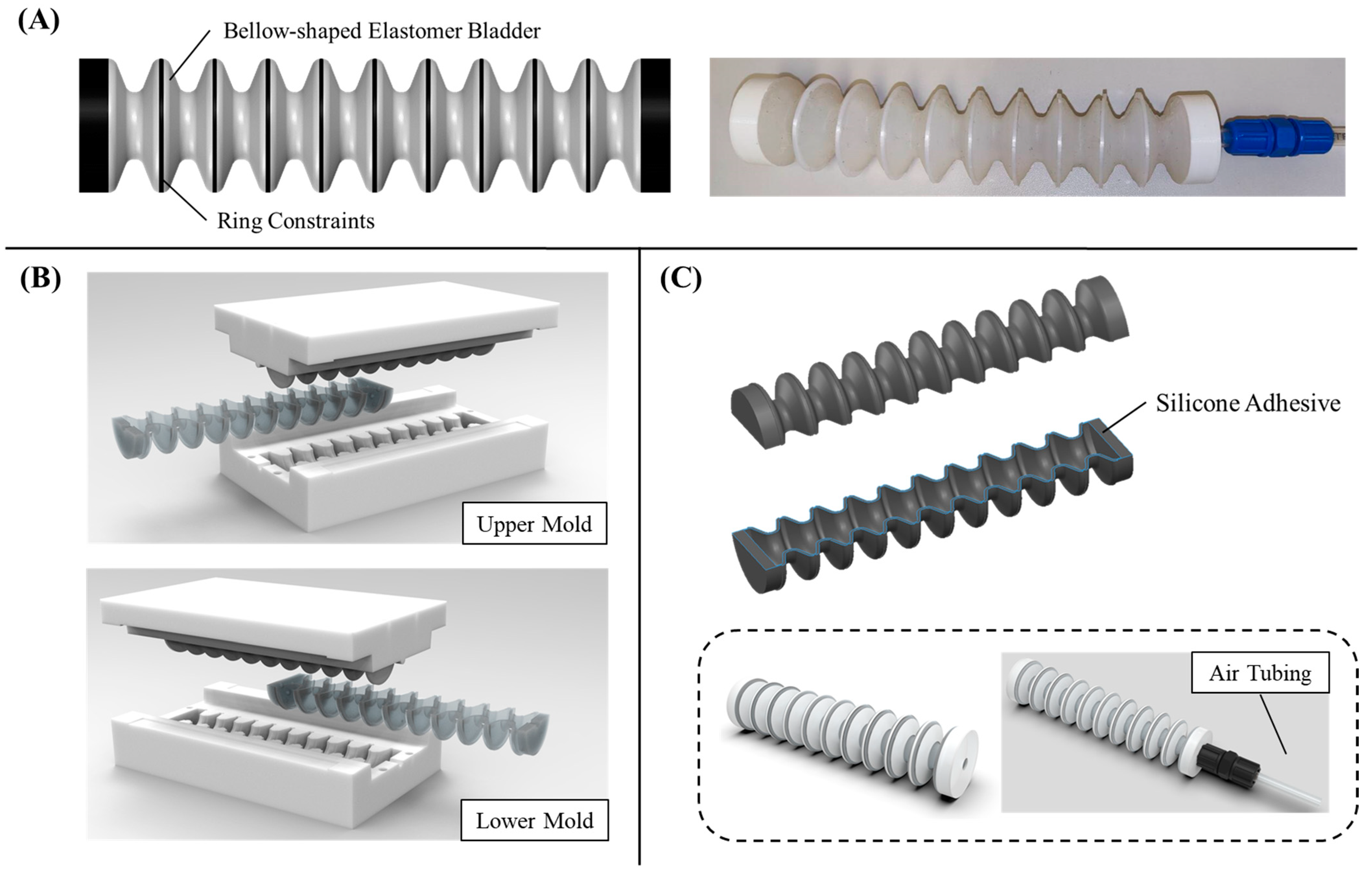 Biomimetics 09 00160 g001
