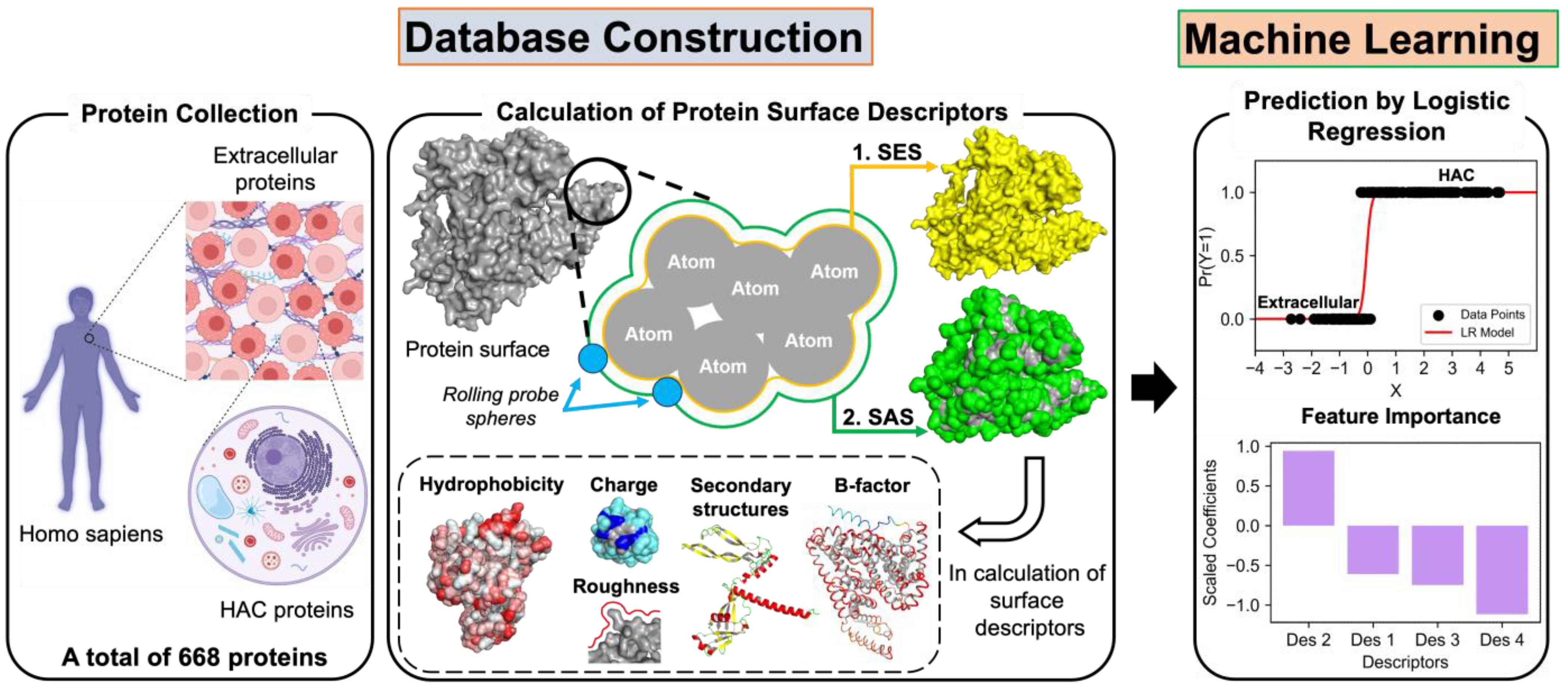 Biomimetics 09 00162 g001