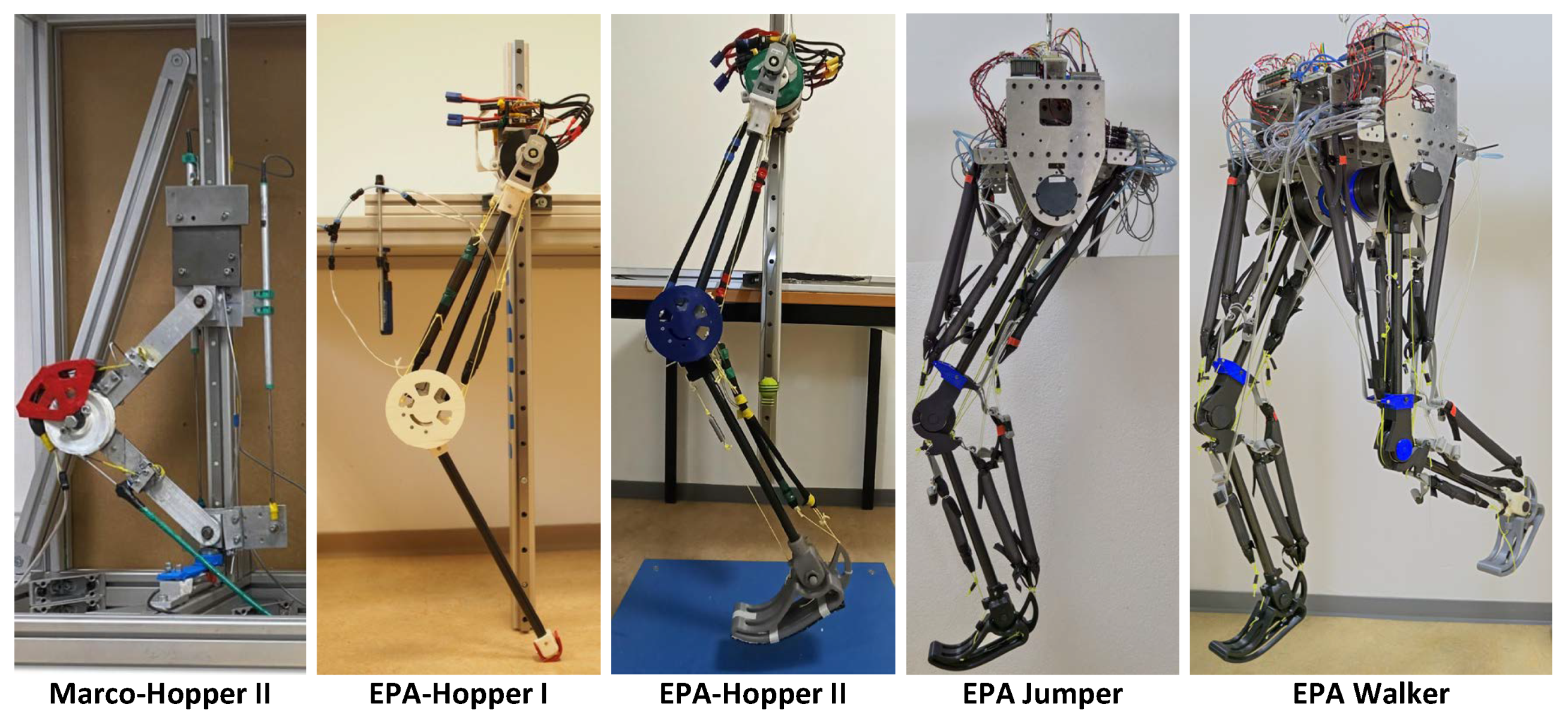 Biomimetics 09 00164 g001 Biomimetics 09 00164 g001