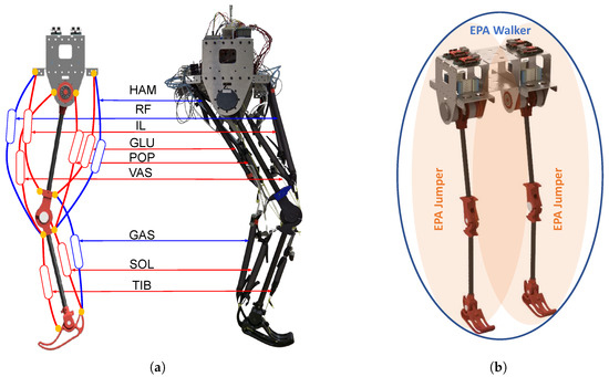 Biomimetics 09 00164 g003 Biomimetics 09 00164 g003