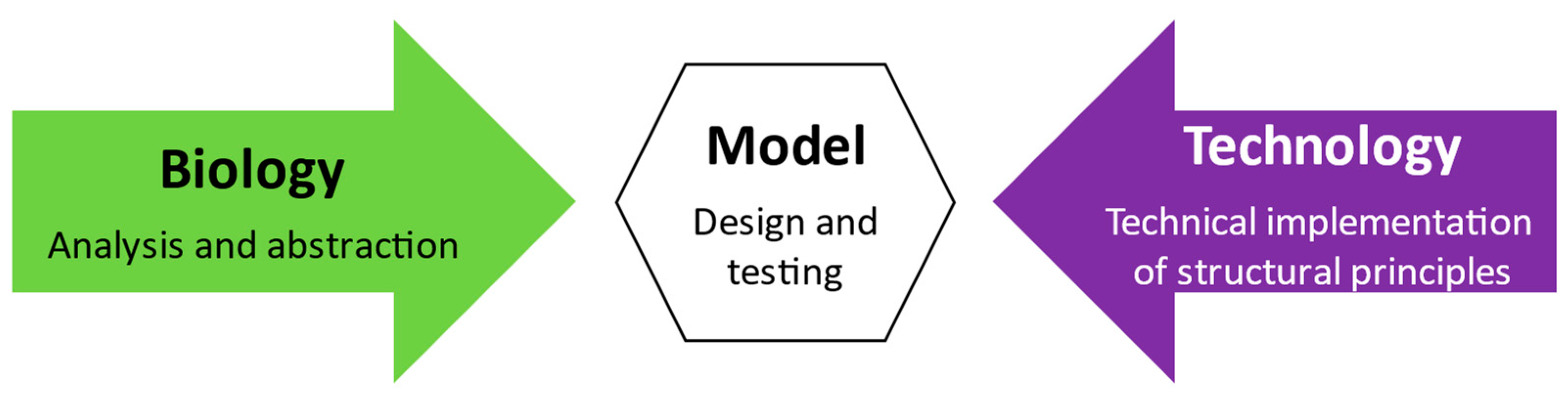 Biomimetics 09 00165 g003 Biomimetics 09 00165 g003