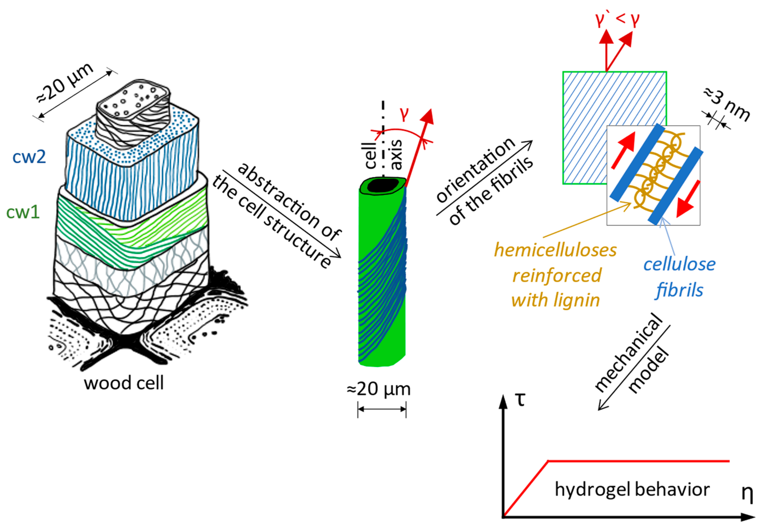 Biomimetics 09 00165 g005 Biomimetics 09 00165 g005