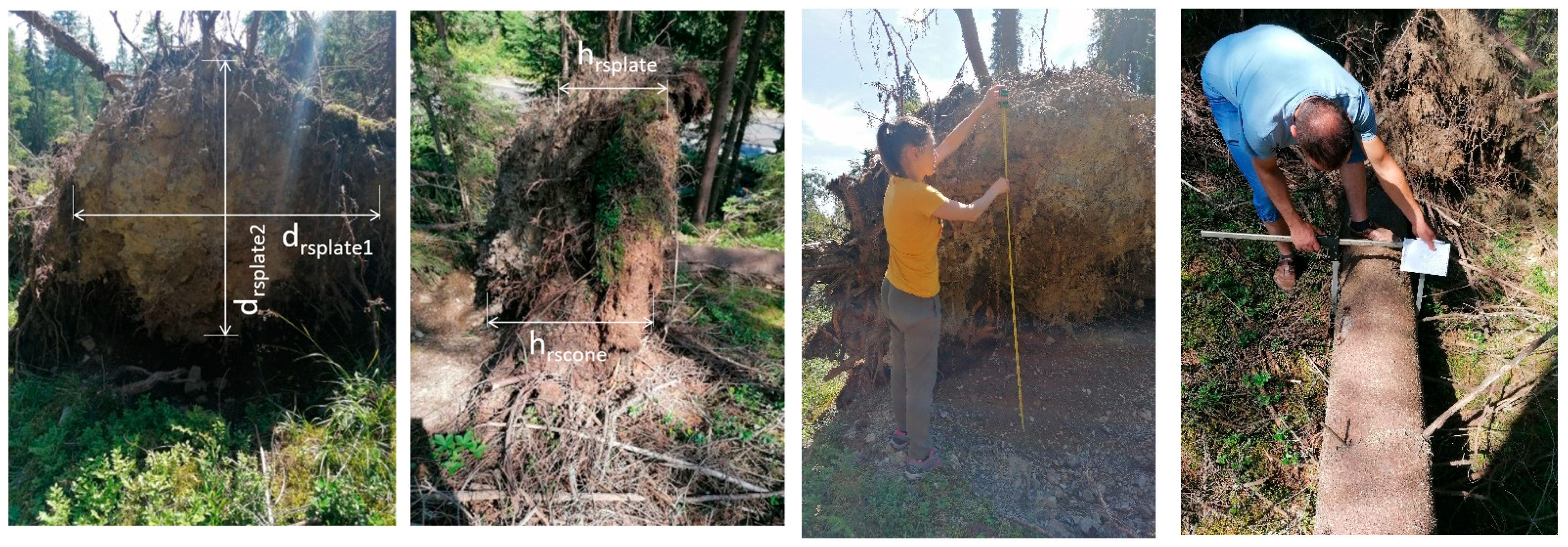 Biomimetics 09 00165 g013 Biomimetics 09 00165 g013