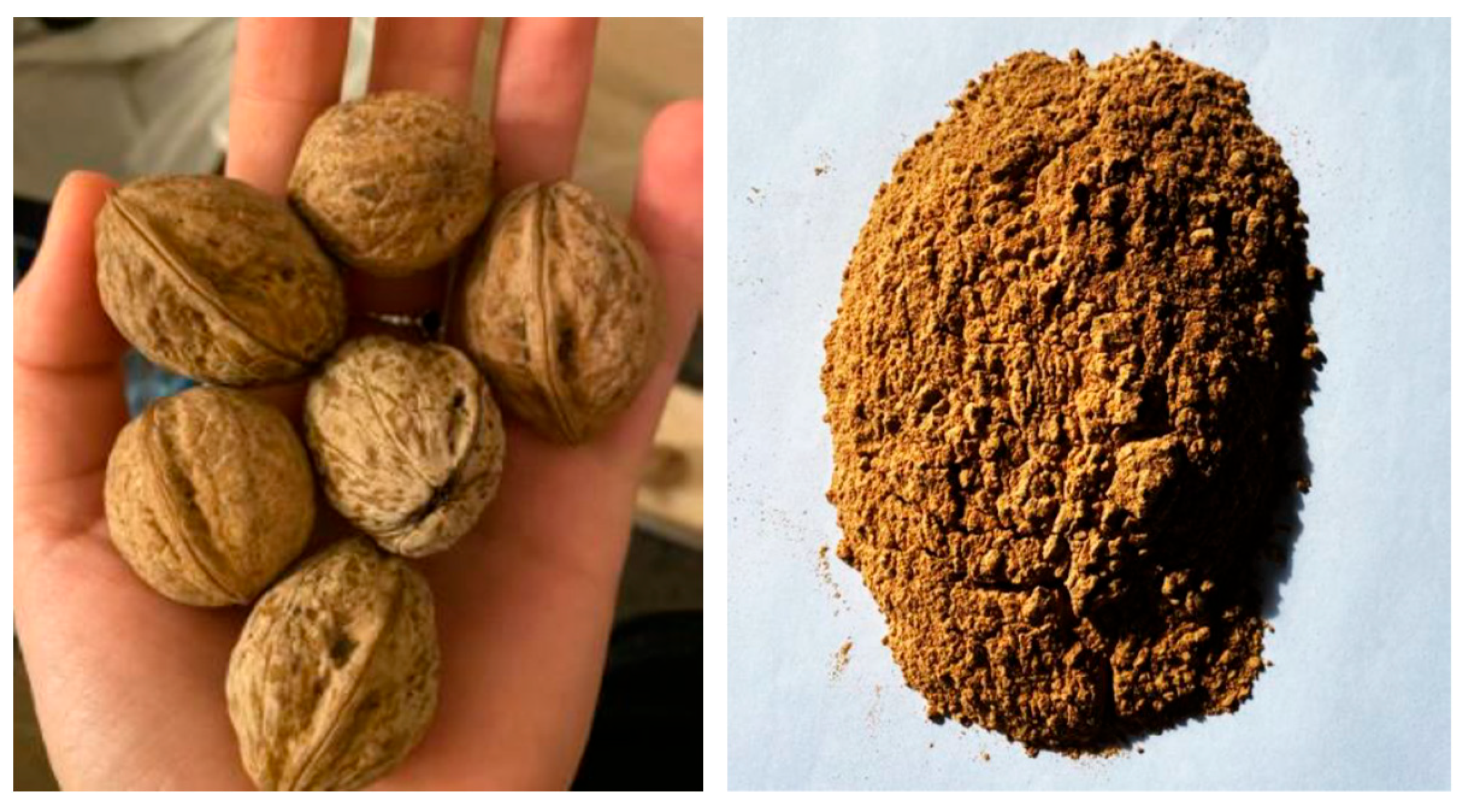 Biomimetics 09 00165 g019 Biomimetics 09 00165 g019