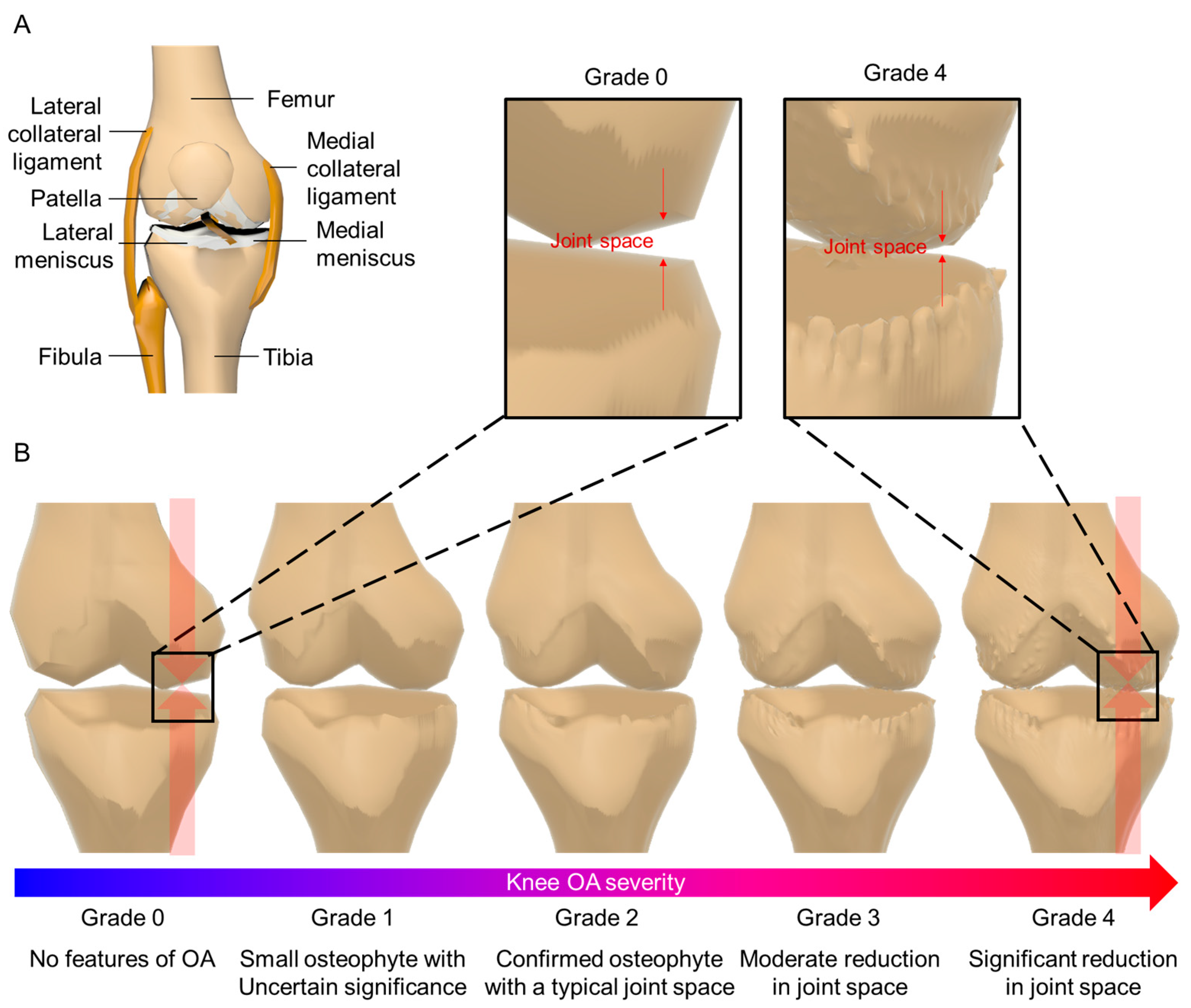 Biomimetics 09 00166 g001 Biomimetics 09 00166 g001