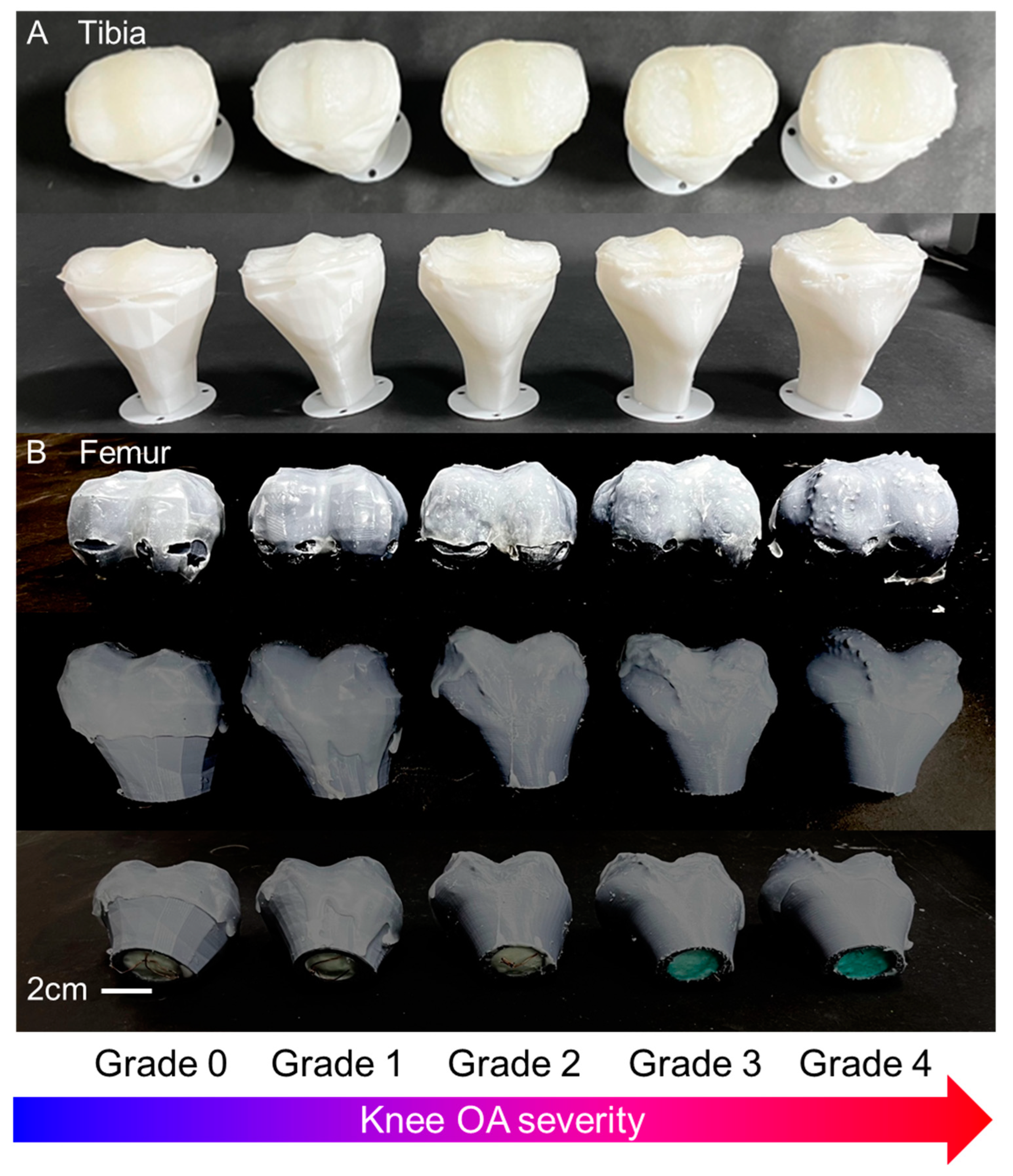 Biomimetics 09 00166 g004 Biomimetics 09 00166 g004