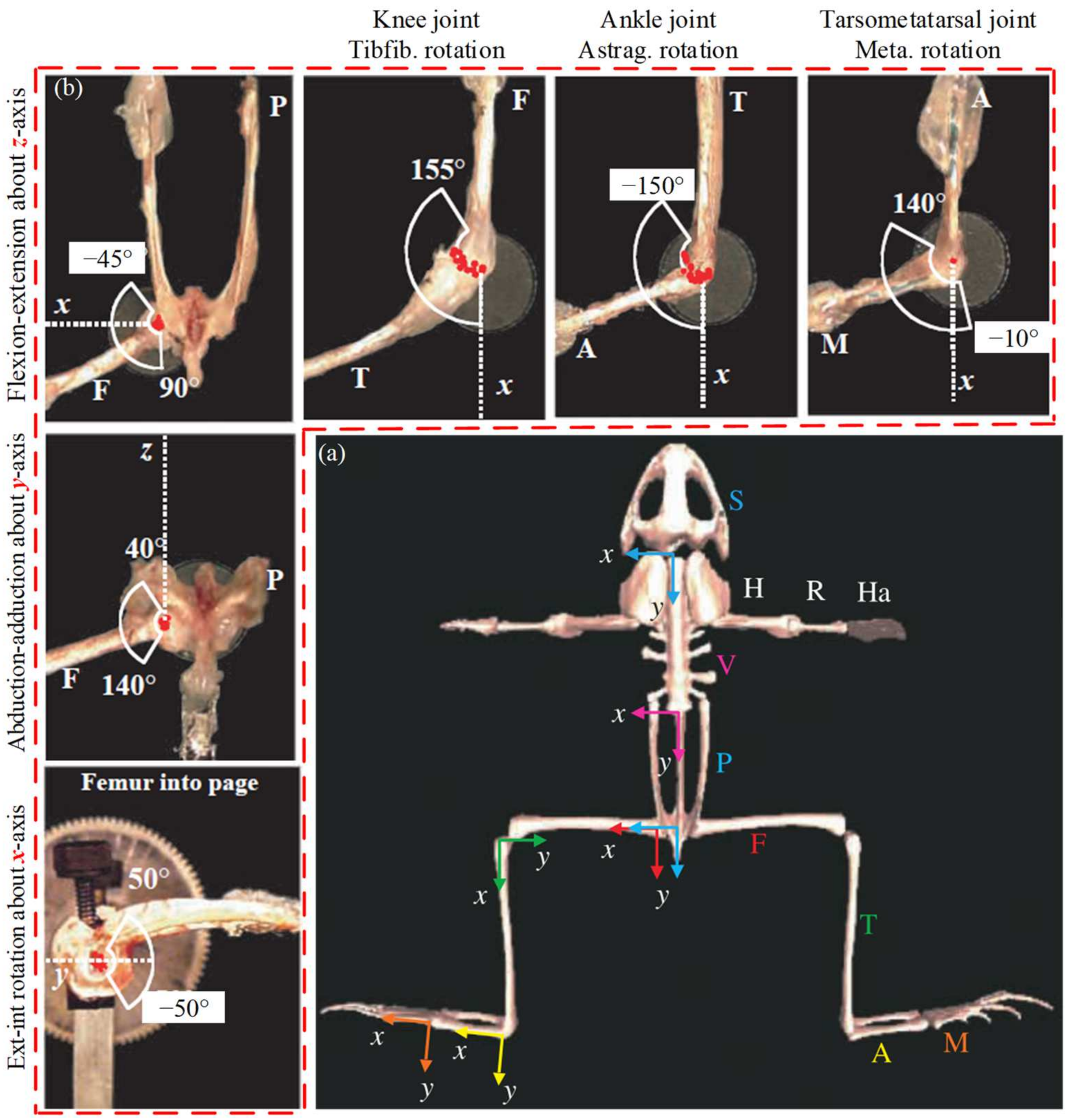 Biomimetics 09 00168 g002