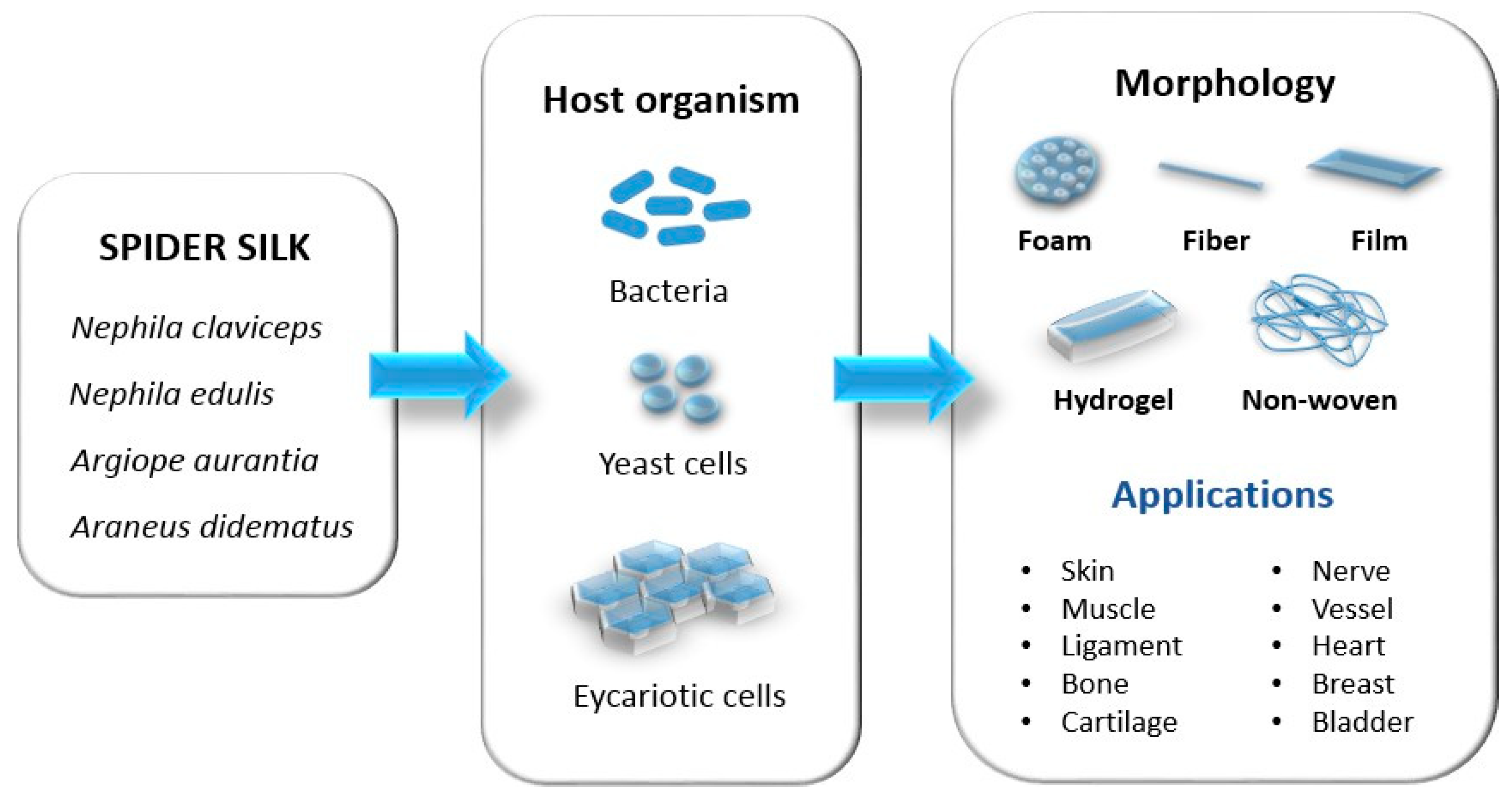 Biomimetics 09 00169 g002