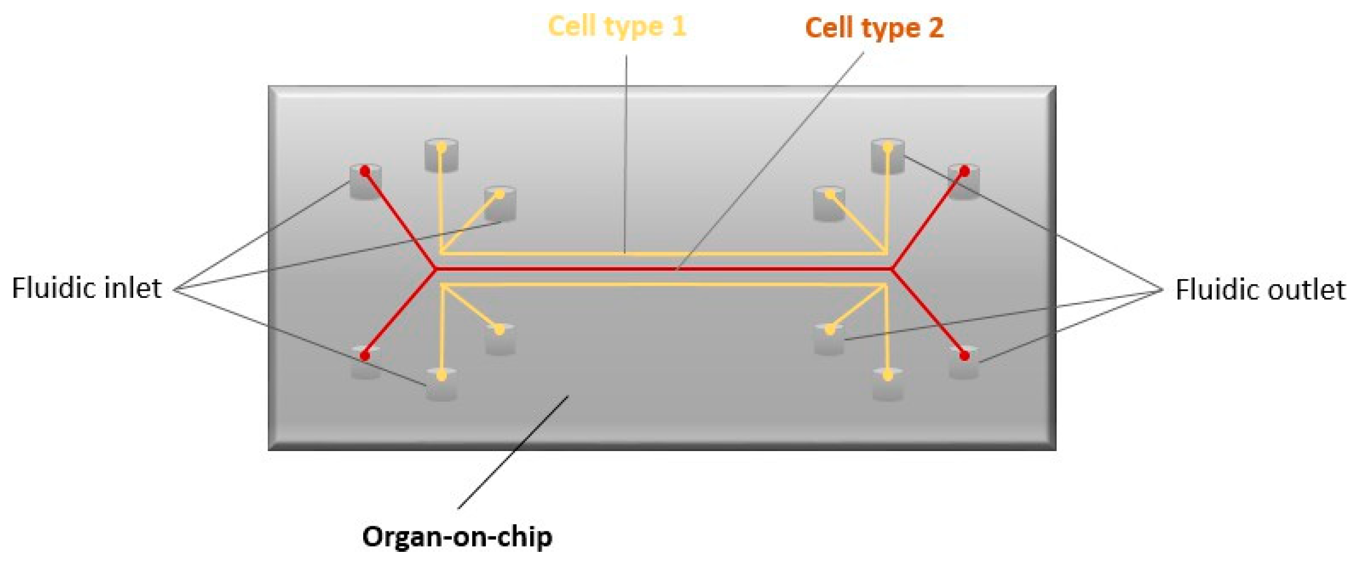 Biomimetics 09 00169 g004