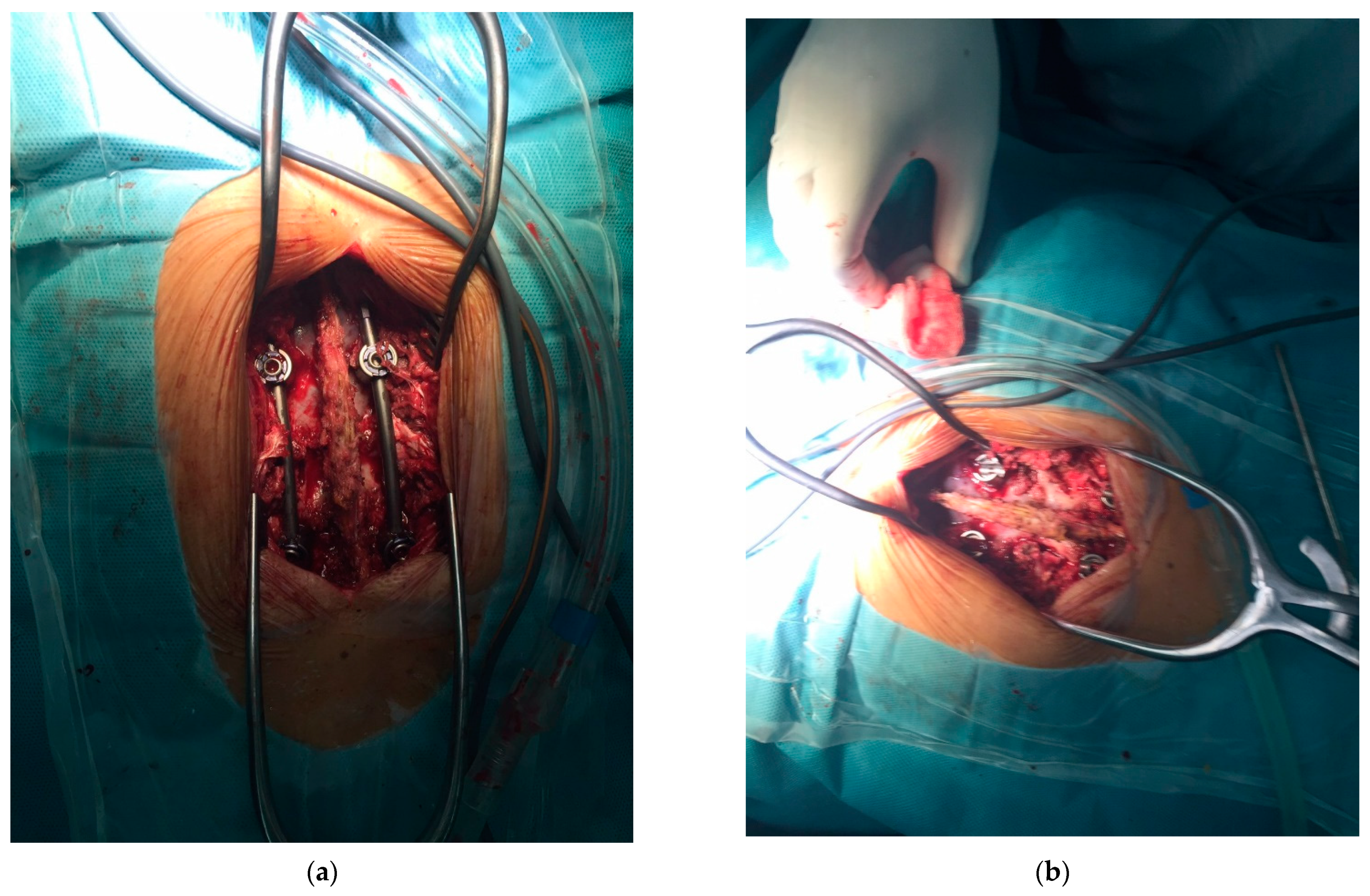 Biomimetics 09 00169 g007