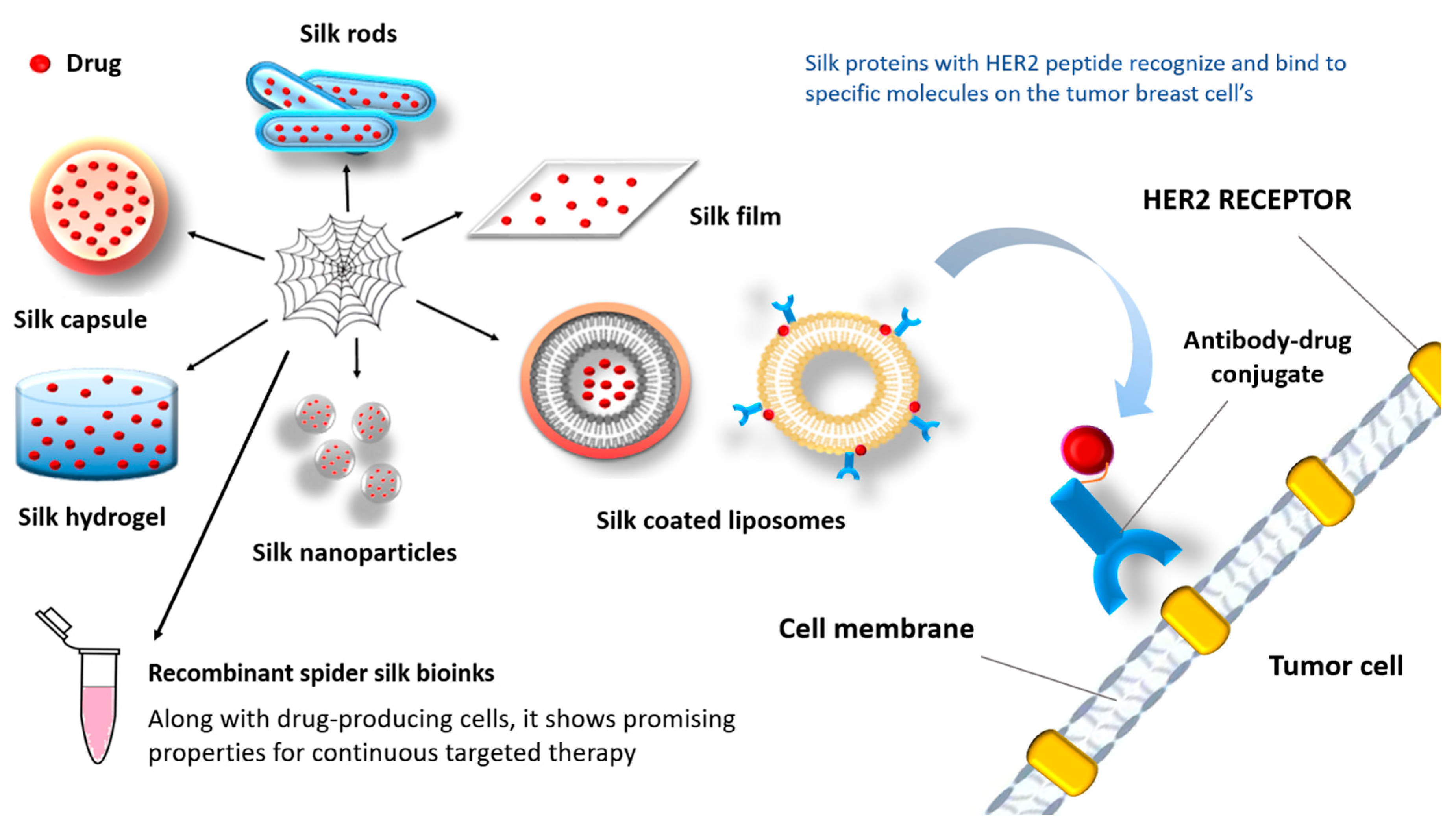 Biomimetics 09 00169 g009