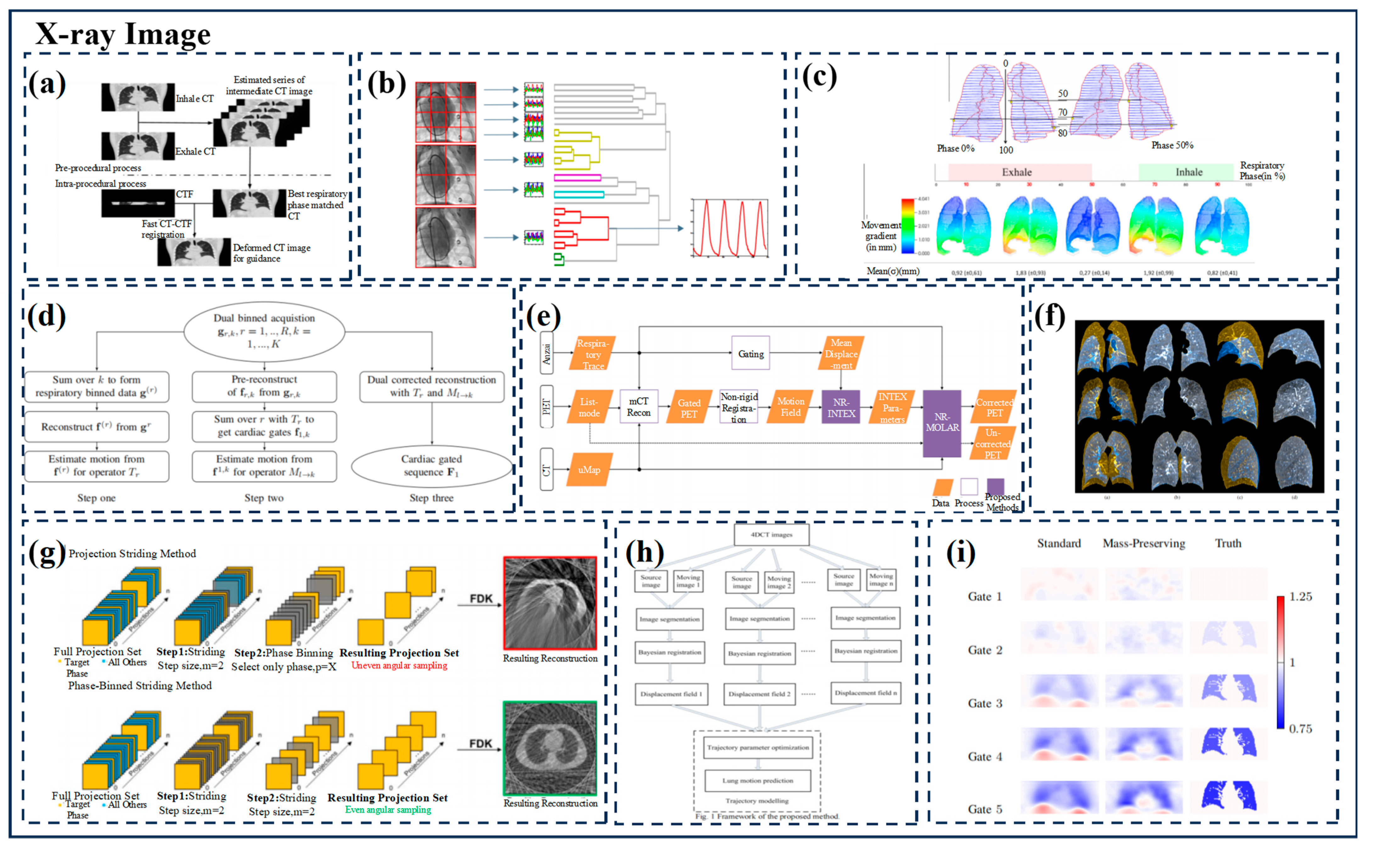 Biomimetics 09 00170 g003