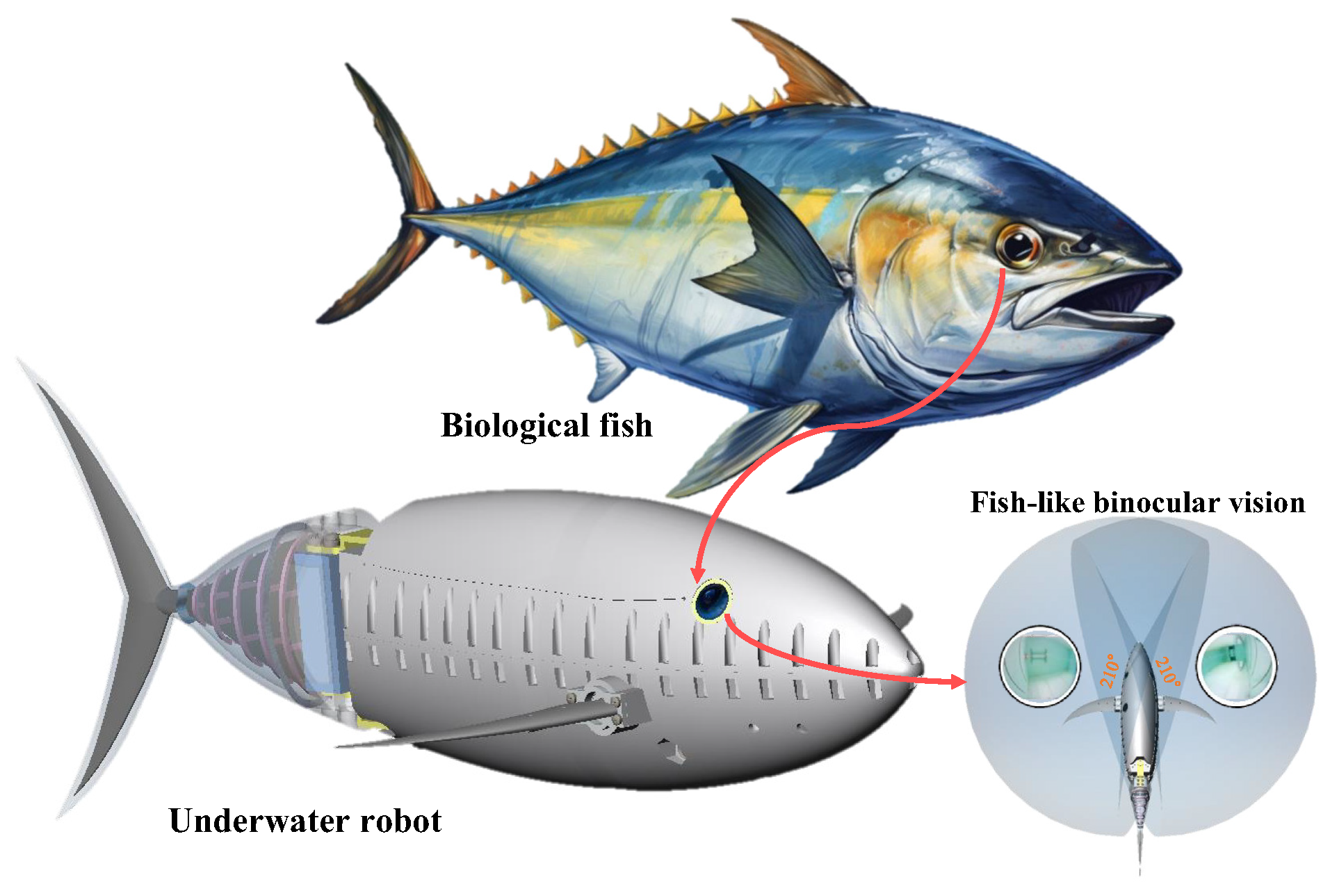 Biomimetics 09 00171 g001