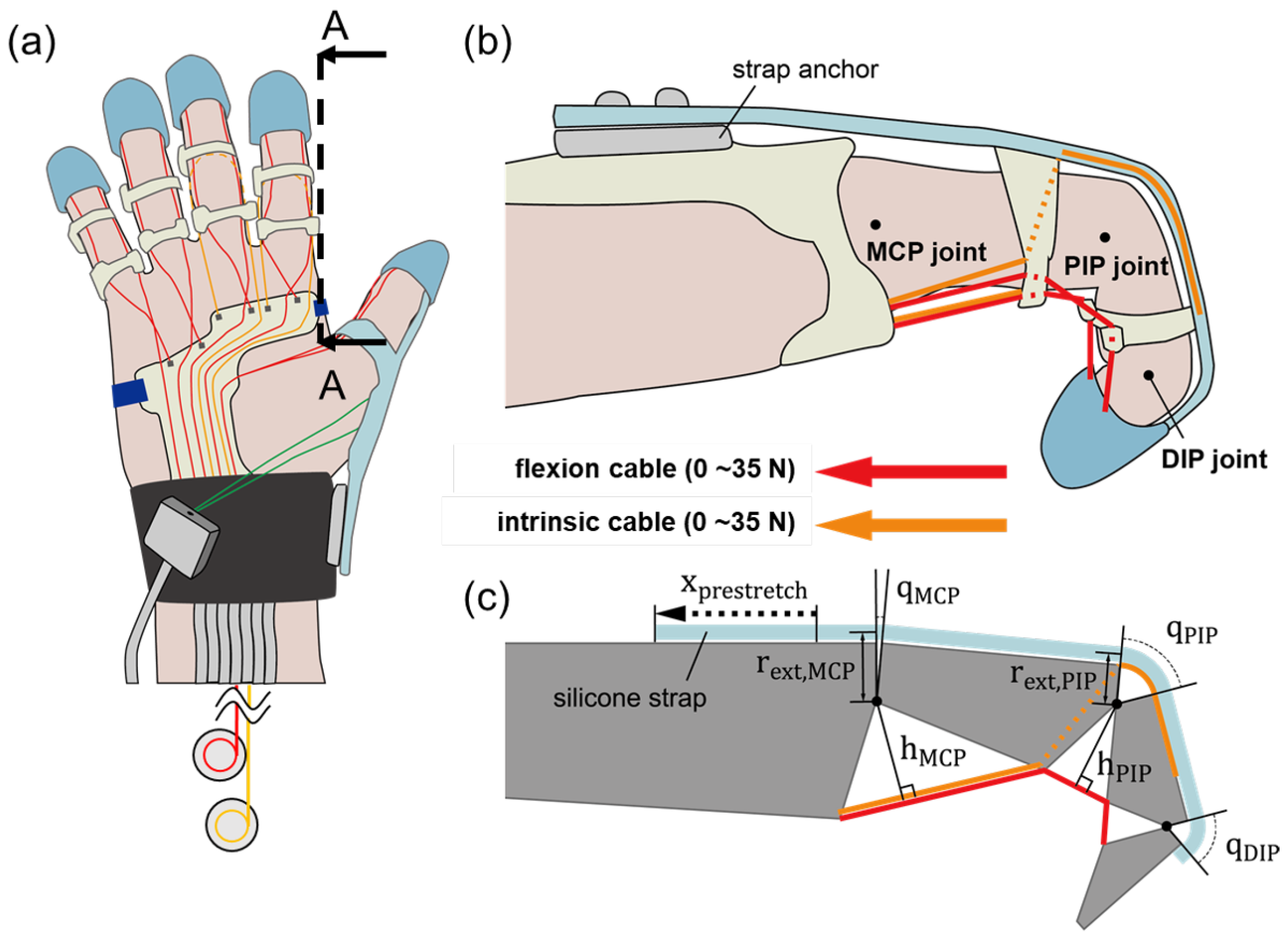Biomimetics 09 00172 g002
