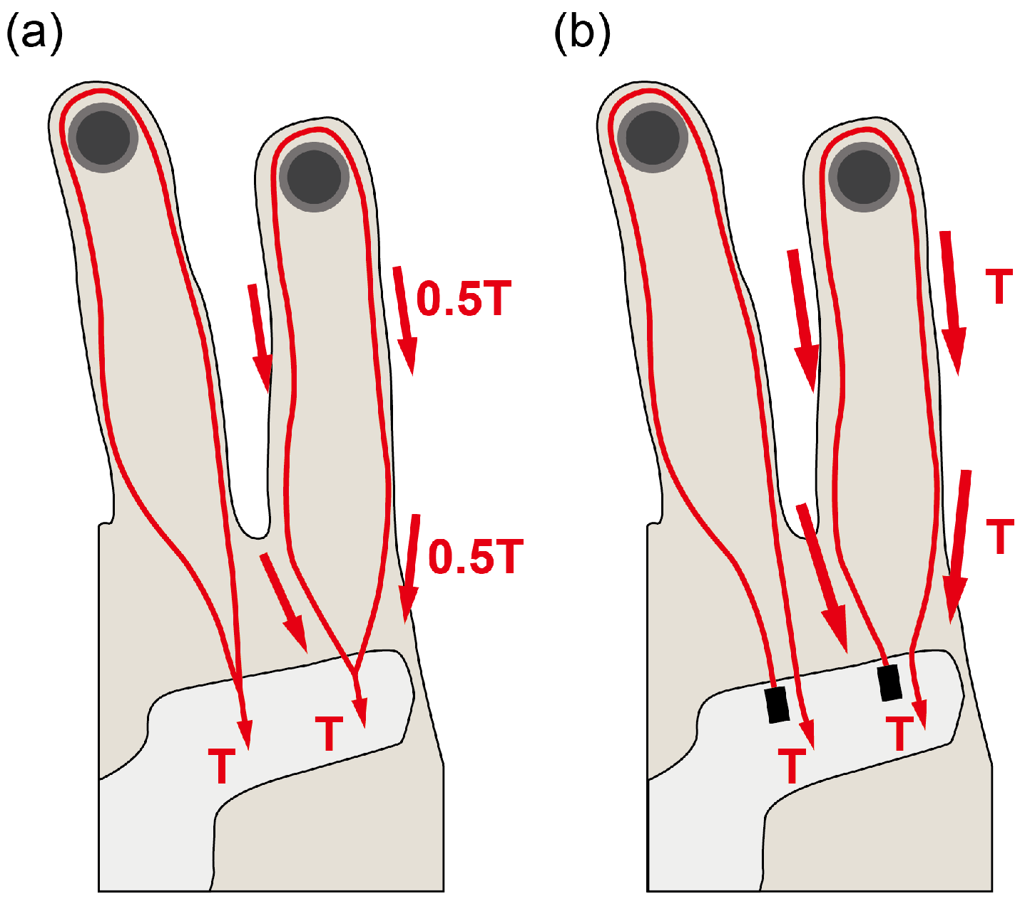 Biomimetics 09 00172 g005