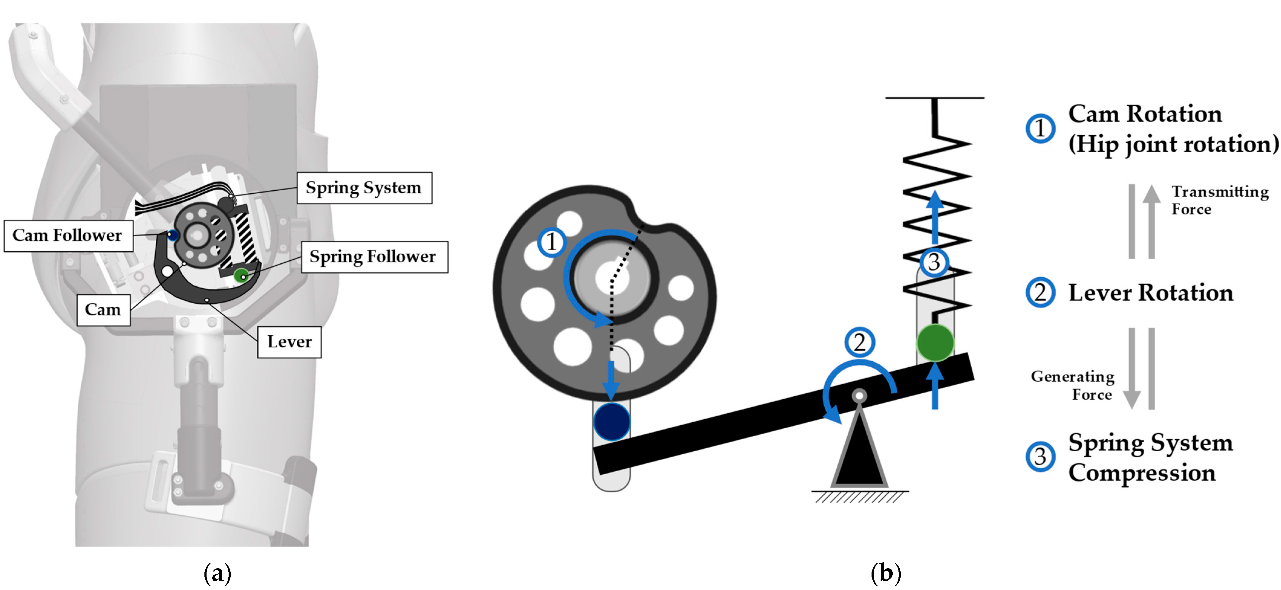 Biomimetics 09 00173 g002