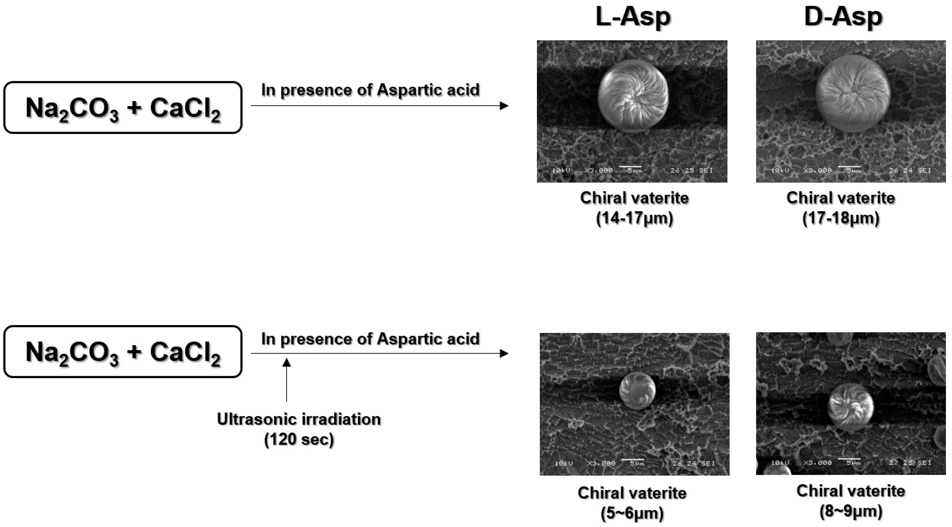 Biomimetics 09 00174 g002 Biomimetics 09 00174 g002