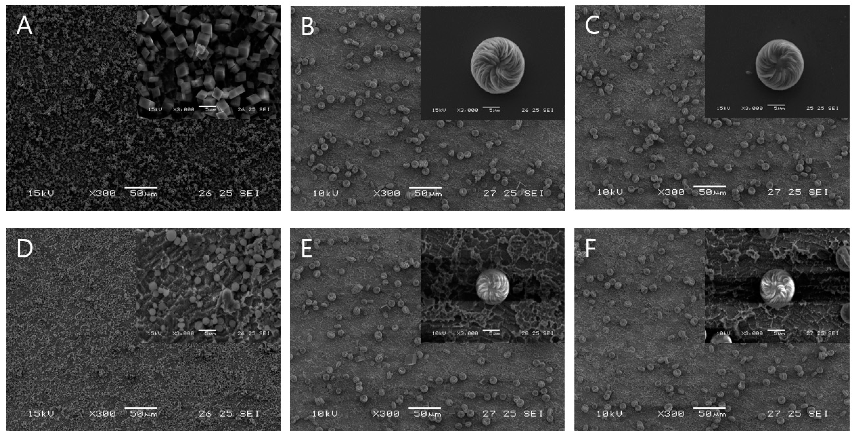 Biomimetics 09 00174 g003 Biomimetics 09 00174 g003