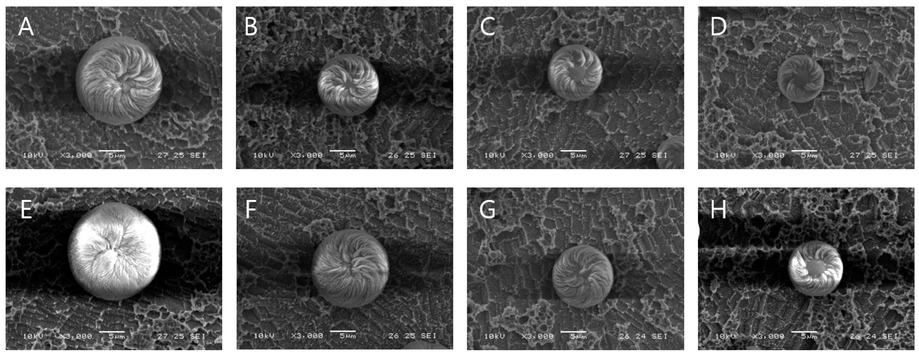Biomimetics 09 00174 g004 Biomimetics 09 00174 g004