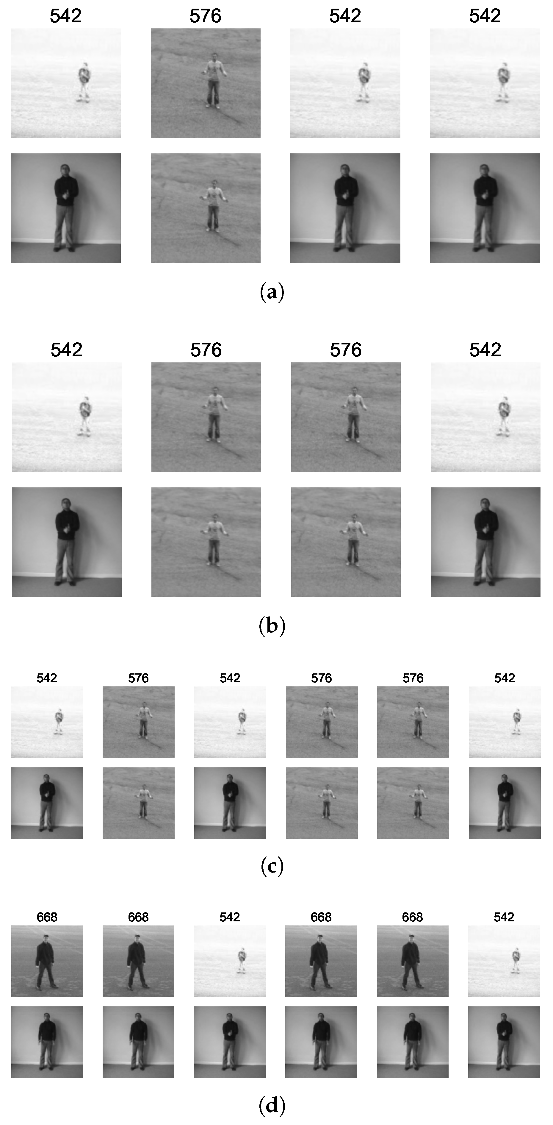 Biomimetics 09 00175 g006