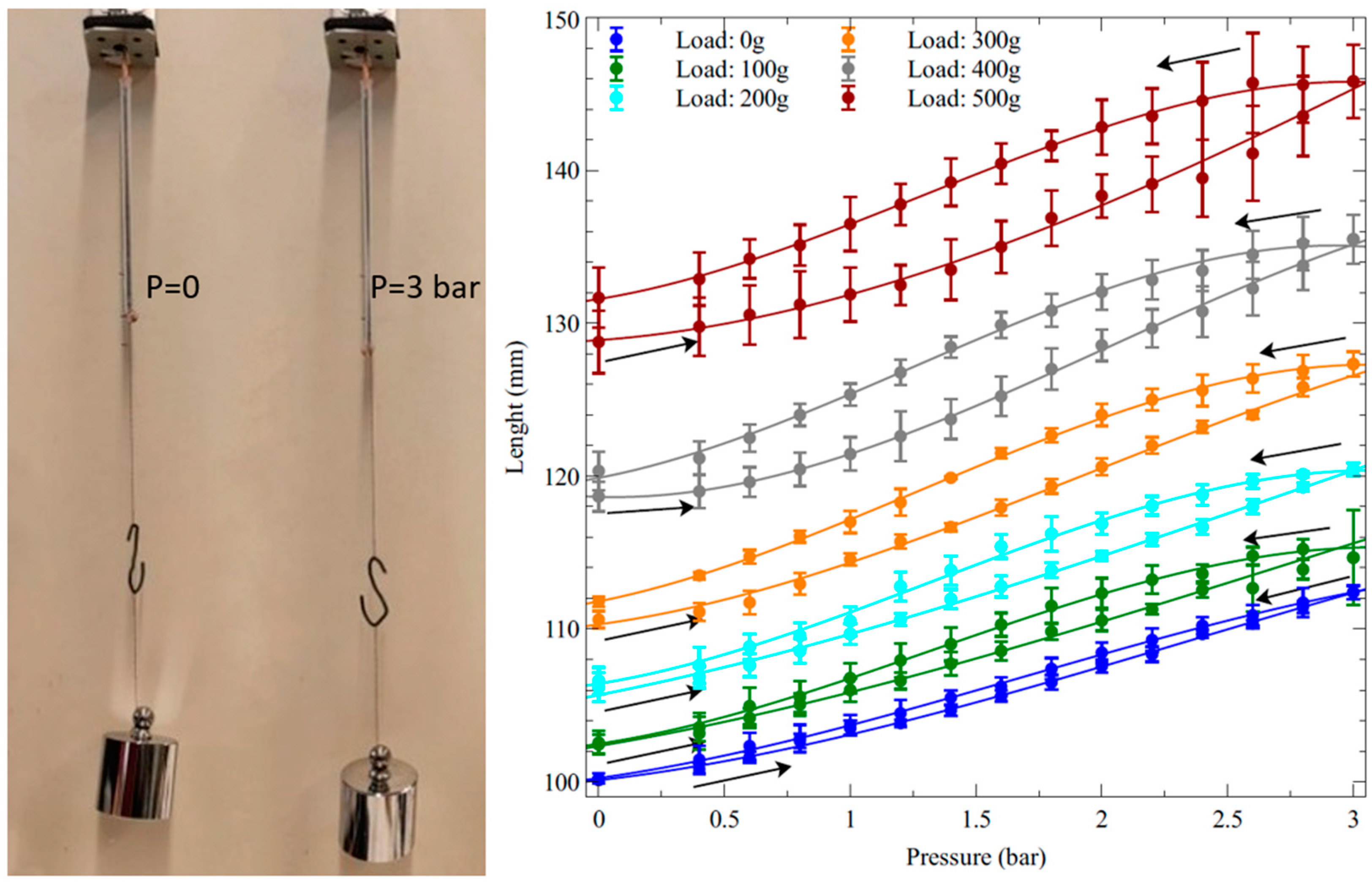 Biomimetics 09 00177 g005