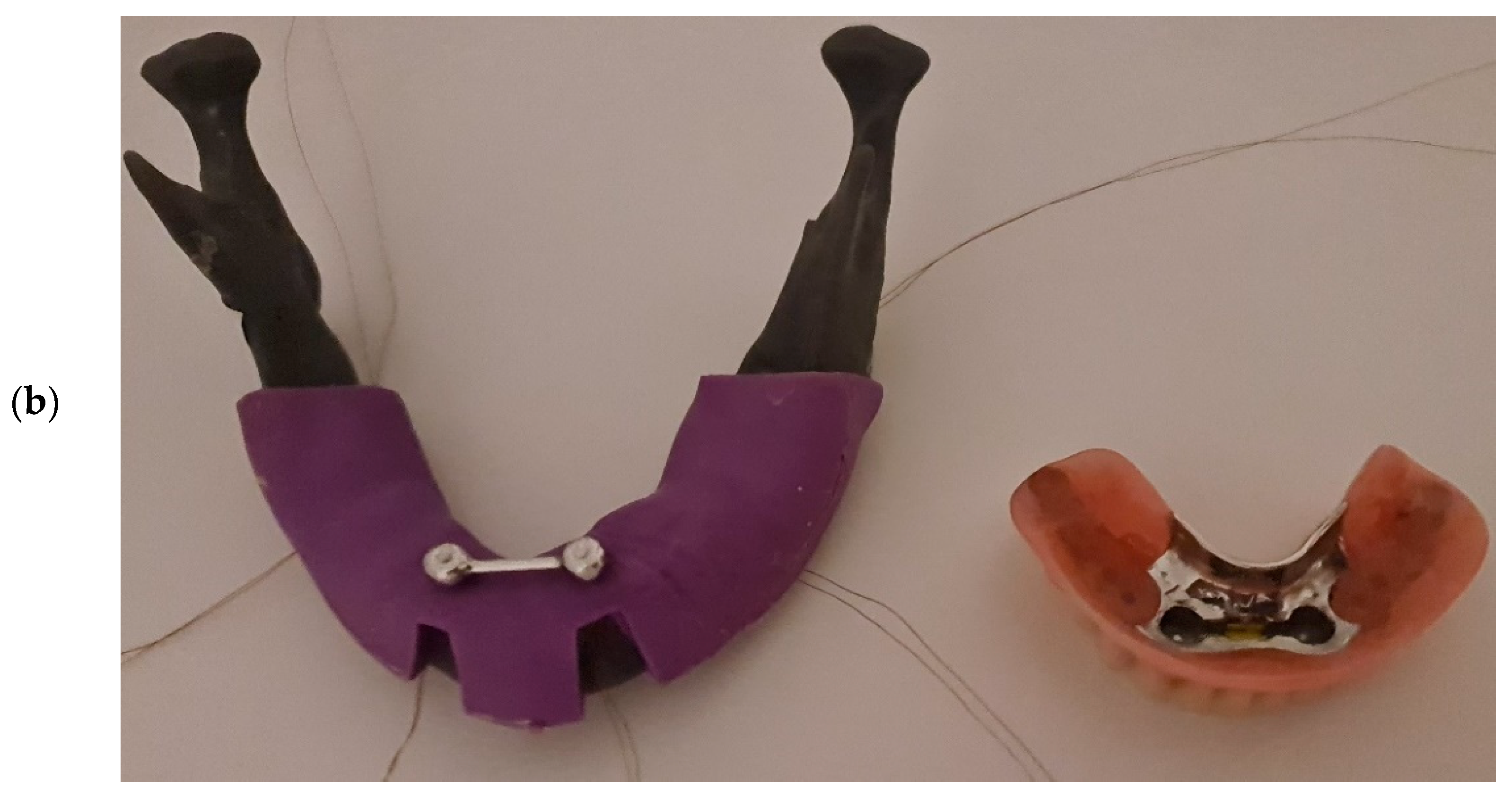 Biomimetics 09 00178 g001b