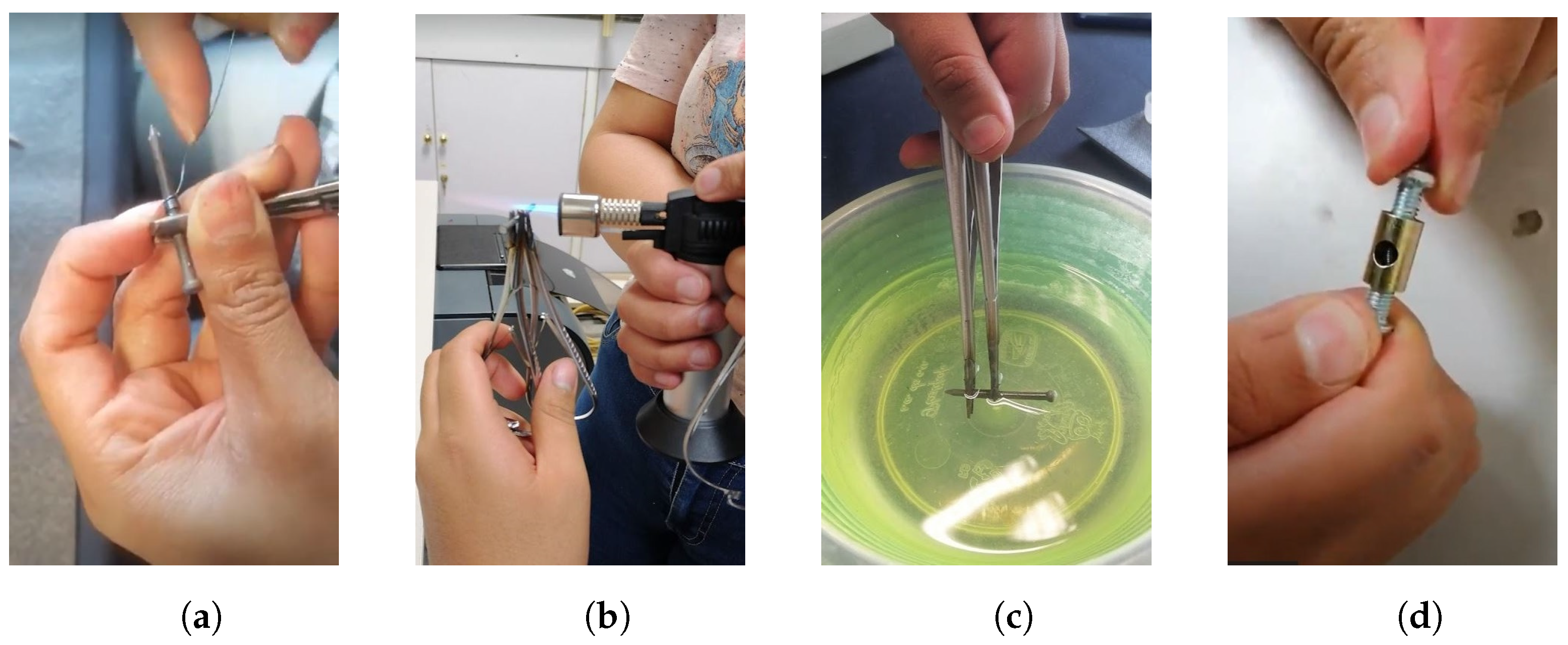 Biomimetics 09 00180 g001