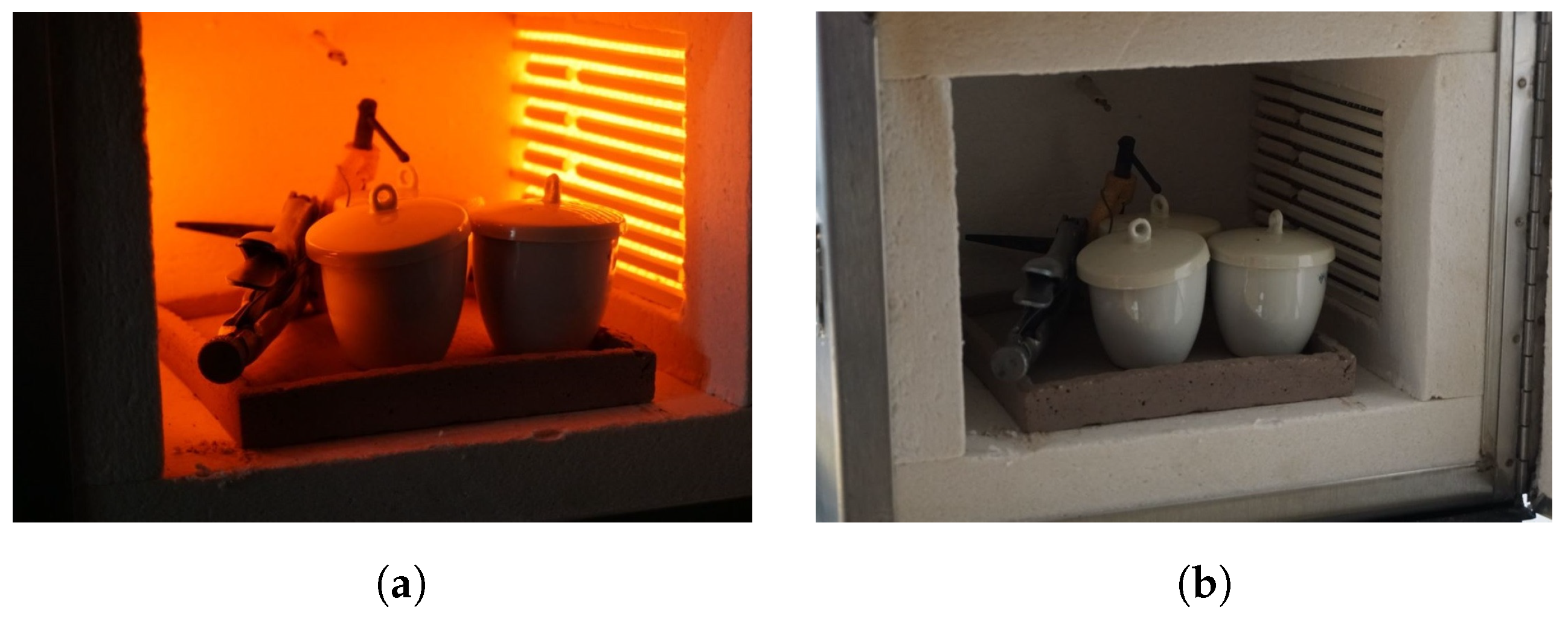 Biomimetics 09 00180 g002