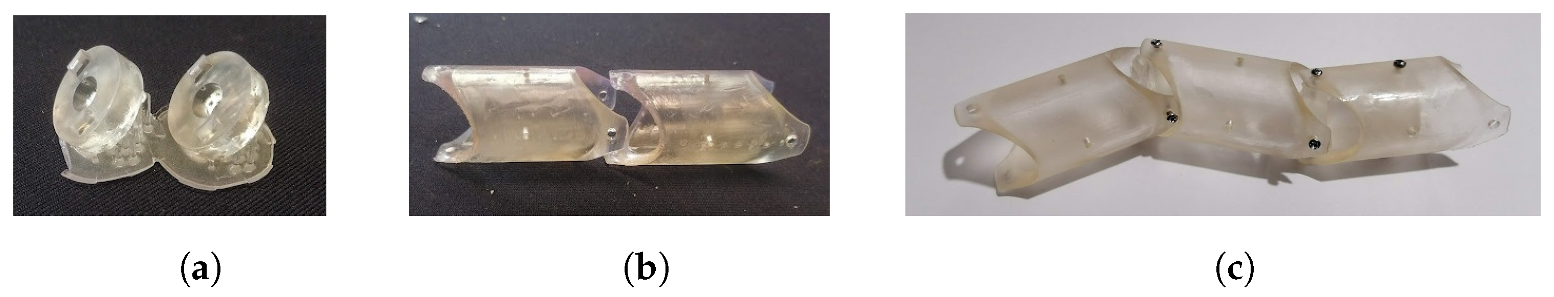 Biomimetics 09 00180 g008