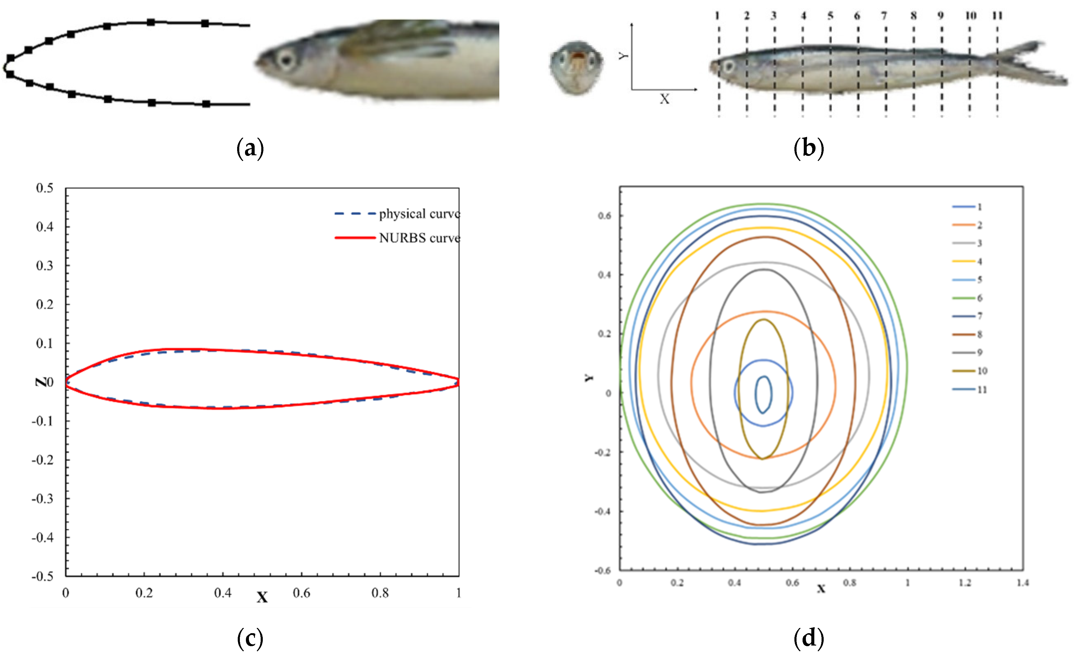 Biomimetics 09 00181 g001