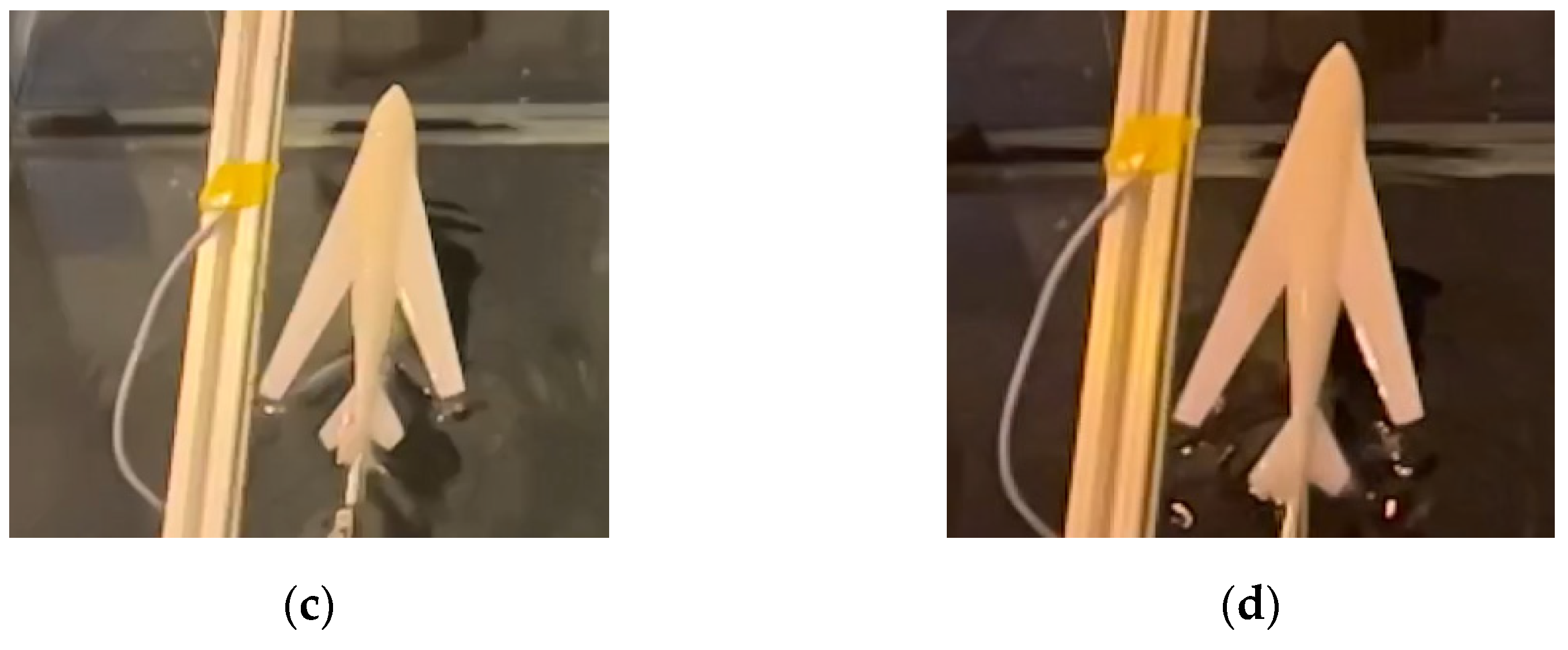 Biomimetics 09 00181 g034b