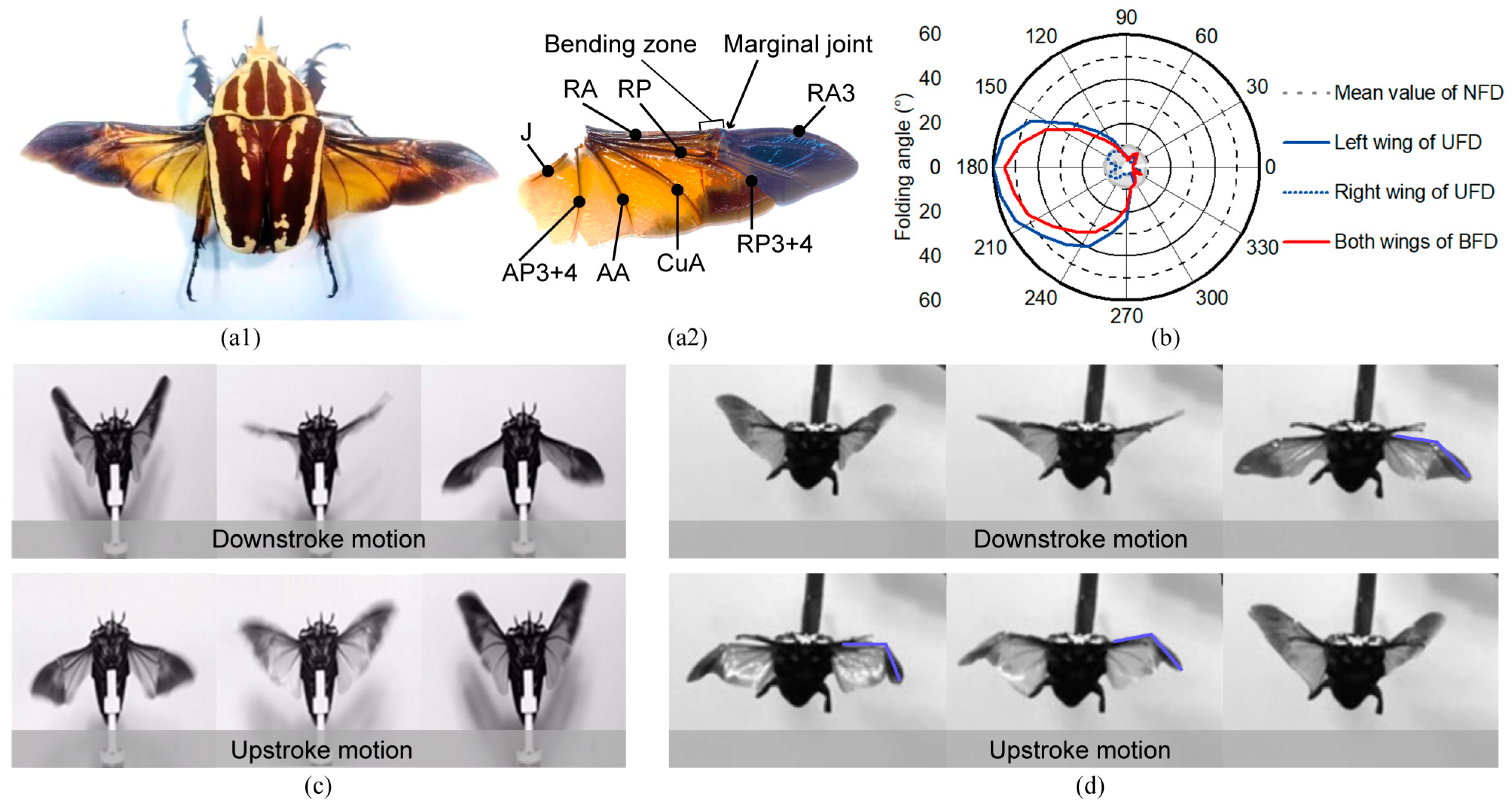 Biomimetics 09 00183 g001