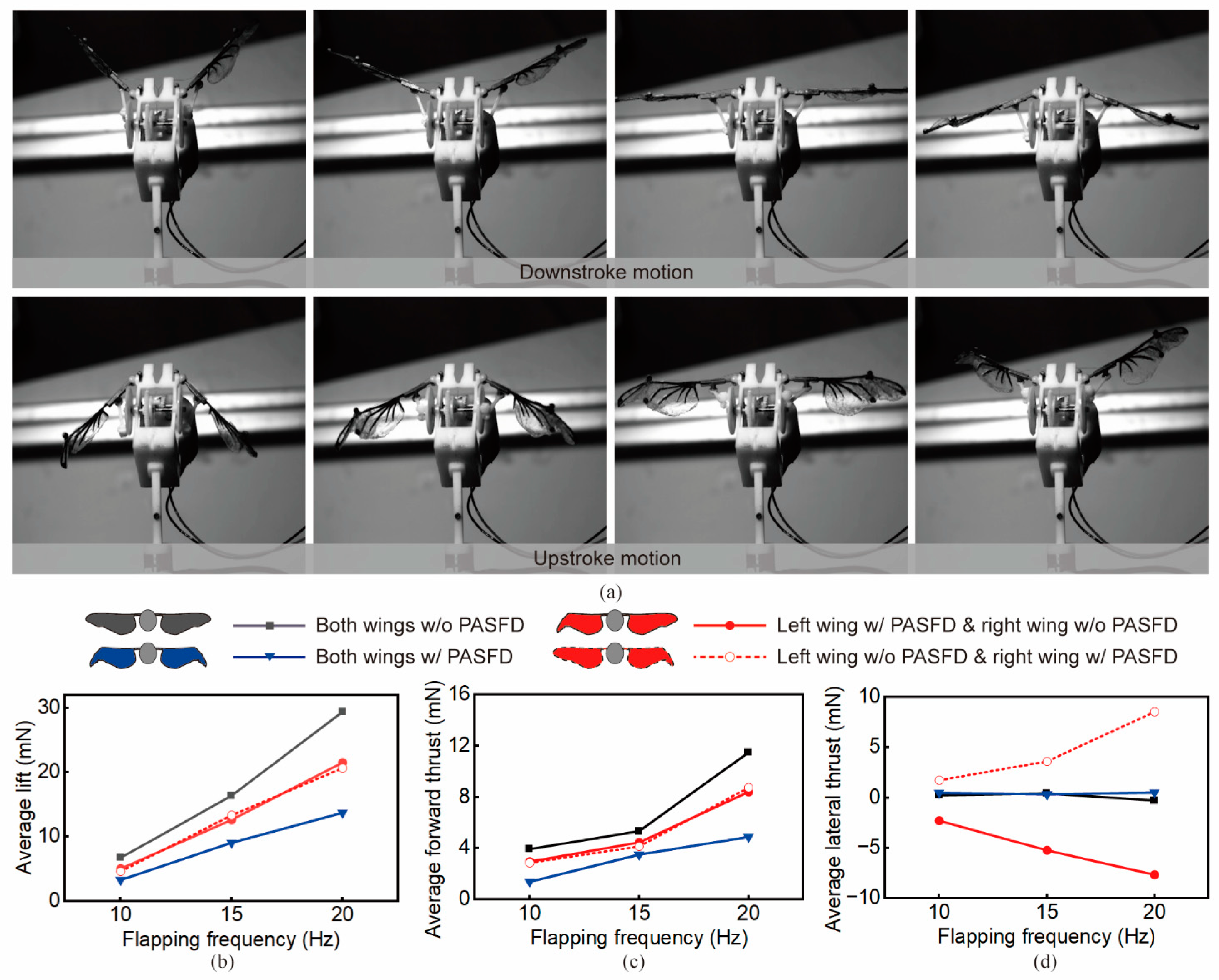 Biomimetics 09 00183 g005